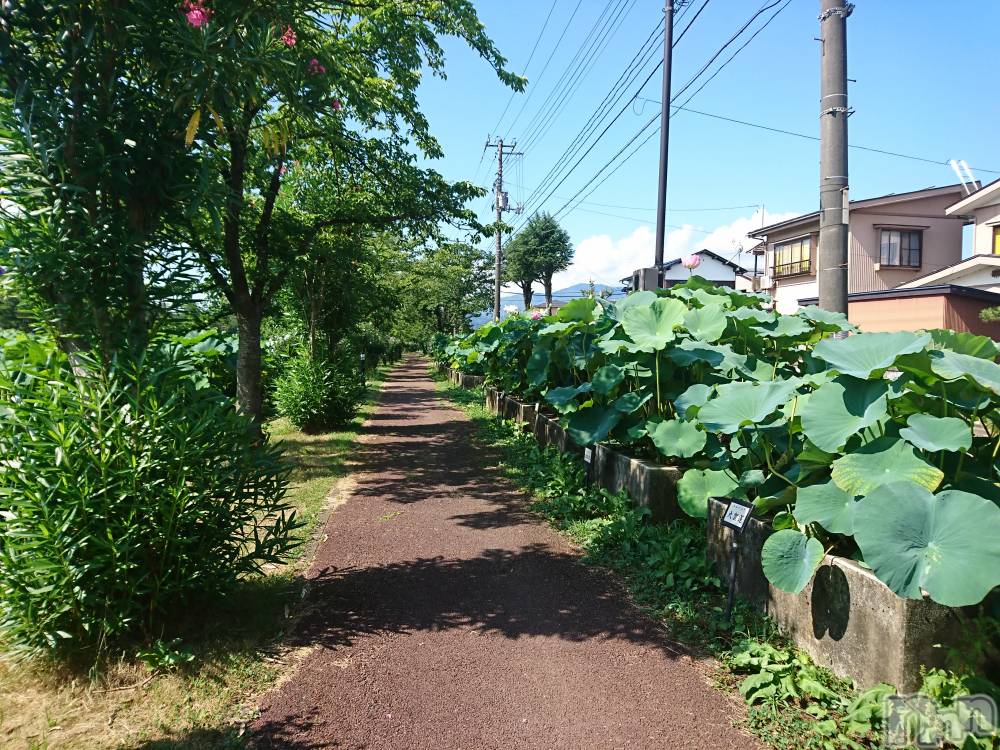 長岡デリヘル人妻楼　長岡店(ヒトヅマロウ　ナガオカテン) なな(43)の7月30日写メブログ「ご挨拶」