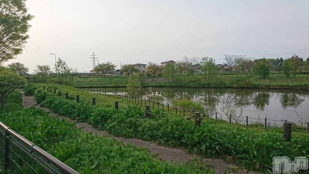 長岡デリヘル人妻楼　長岡店(ヒトヅマロウ　ナガオカテン) なな(43)の4月25日写メブログ「家の近所を」