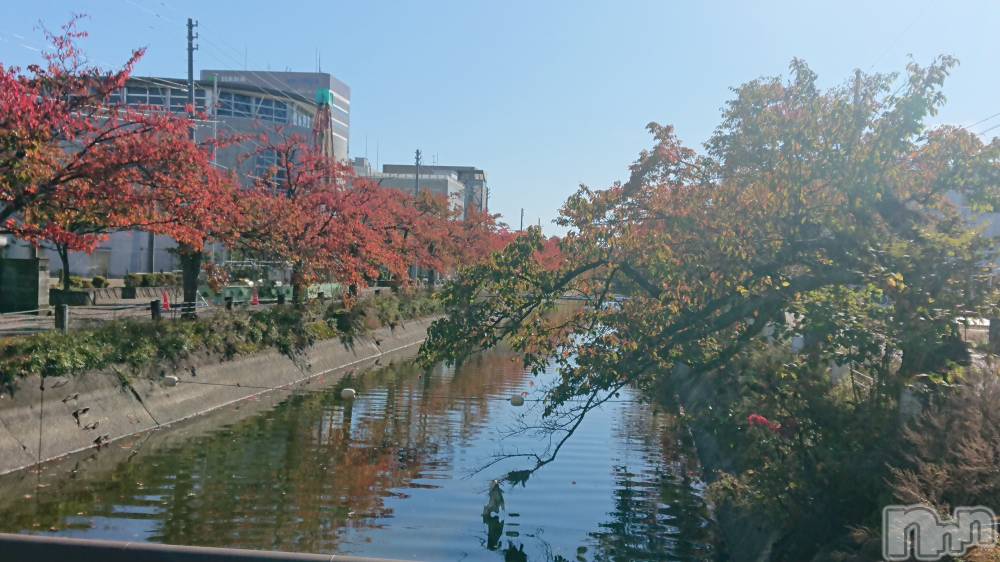 長岡デリヘル人妻楼　長岡店(ヒトヅマロウ　ナガオカテン) なな(43)の10月31日写メブログ「長岡の駅の」