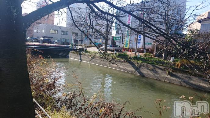 長岡デリヘル人妻楼　長岡店(ヒトヅマロウ　ナガオカテン) なな(43)の11月28日写メブログ「一体何処へ…？」
