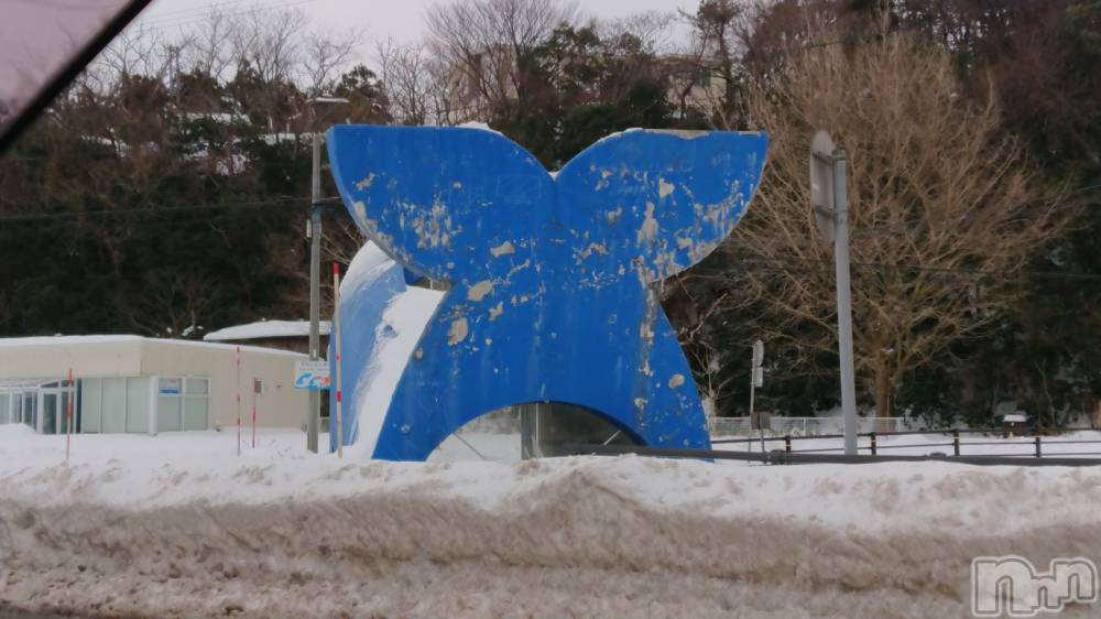 長岡デリヘル人妻楼　長岡店(ヒトヅマロウ　ナガオカテン) なな(43)の1月31日写メブログ「くじらなみ🐳」