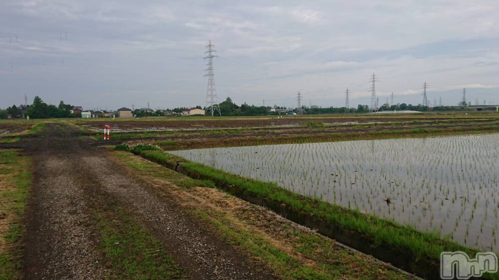 長岡デリヘル人妻楼　長岡店(ヒトヅマロウ　ナガオカテン) なな(43)の5月19日写メブログ「発見！」