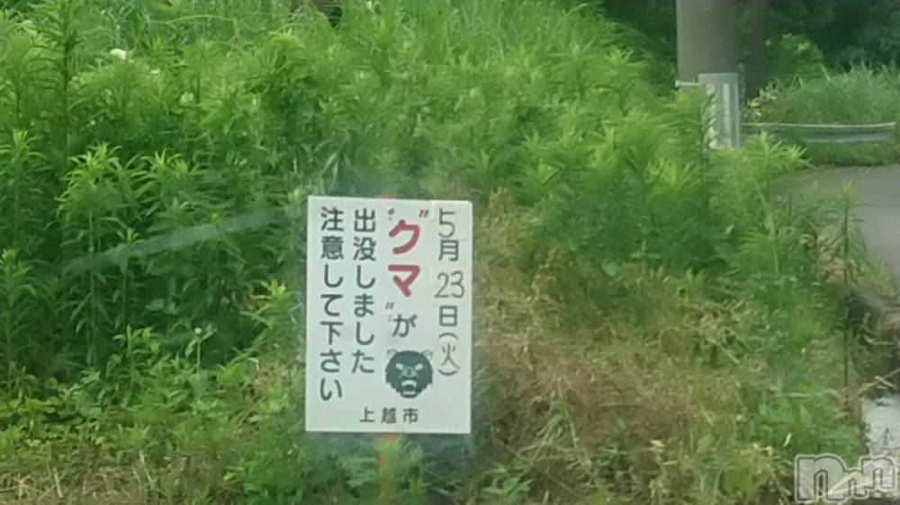 長岡デリヘル人妻楼　長岡店(ヒトヅマロウ　ナガオカテン) なな(43)の6月16日写メブログ「クマがでた！」