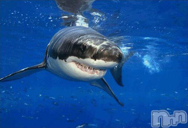 長岡デリヘル人妻楼　長岡店(ヒトヅマロウ　ナガオカテン)なな(43)の2017年9月10日写メブログ「危険生物…」