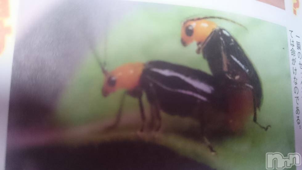 長岡デリヘル人妻楼　長岡店(ヒトヅマロウ　ナガオカテン)なな(43)の2017年9月16日写メブログ「届け！この精子！」