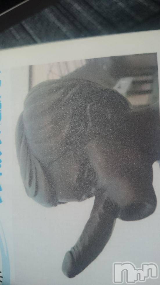 長岡デリヘル人妻楼　長岡店(ヒトヅマロウ　ナガオカテン)なな(43)の2017年9月27日写メブログ「ウソをついたから」