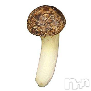 長岡デリヘル人妻楼　長岡店(ヒトヅマロウ　ナガオカテン)なな(43)の2017年10月8日写メブログ「そっくり(笑)」