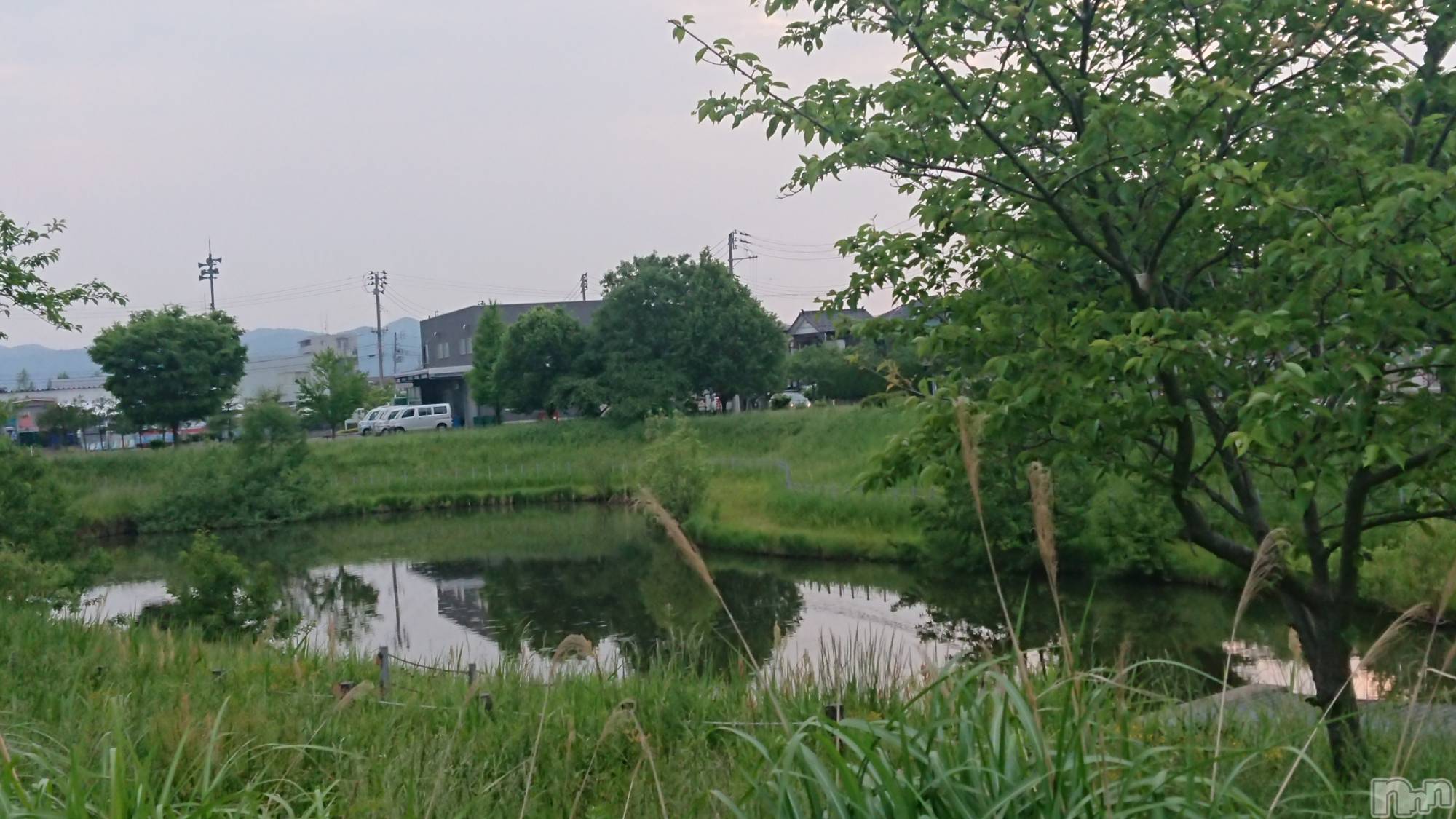 長岡デリヘル人妻楼　長岡店(ヒトヅマロウ　ナガオカテン)なな(43)の2022年5月21日写メブログ「邪魔だなぁと」