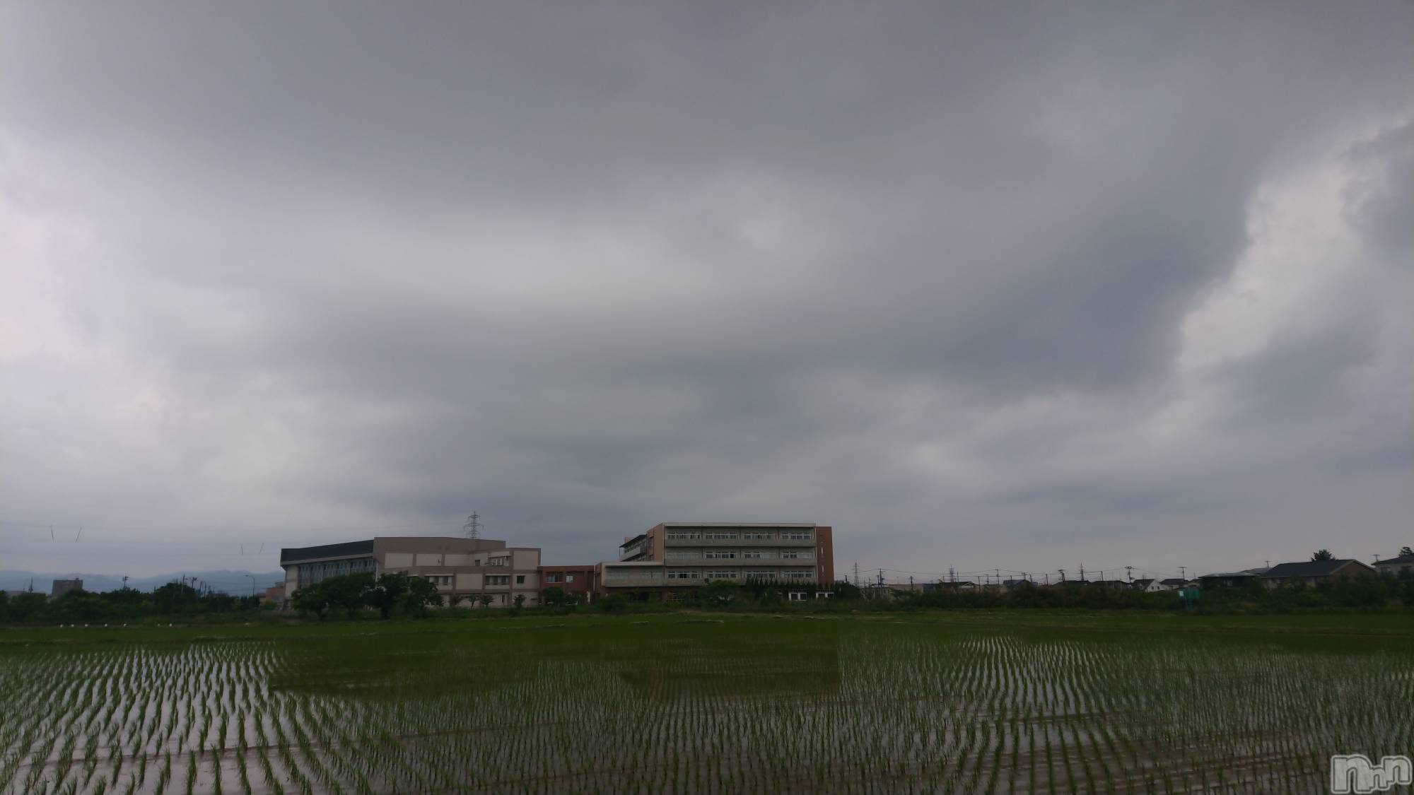 長岡デリヘル人妻楼　長岡店(ヒトヅマロウ　ナガオカテン)なな(43)の2022年6月3日写メブログ「昨夜びっくり」