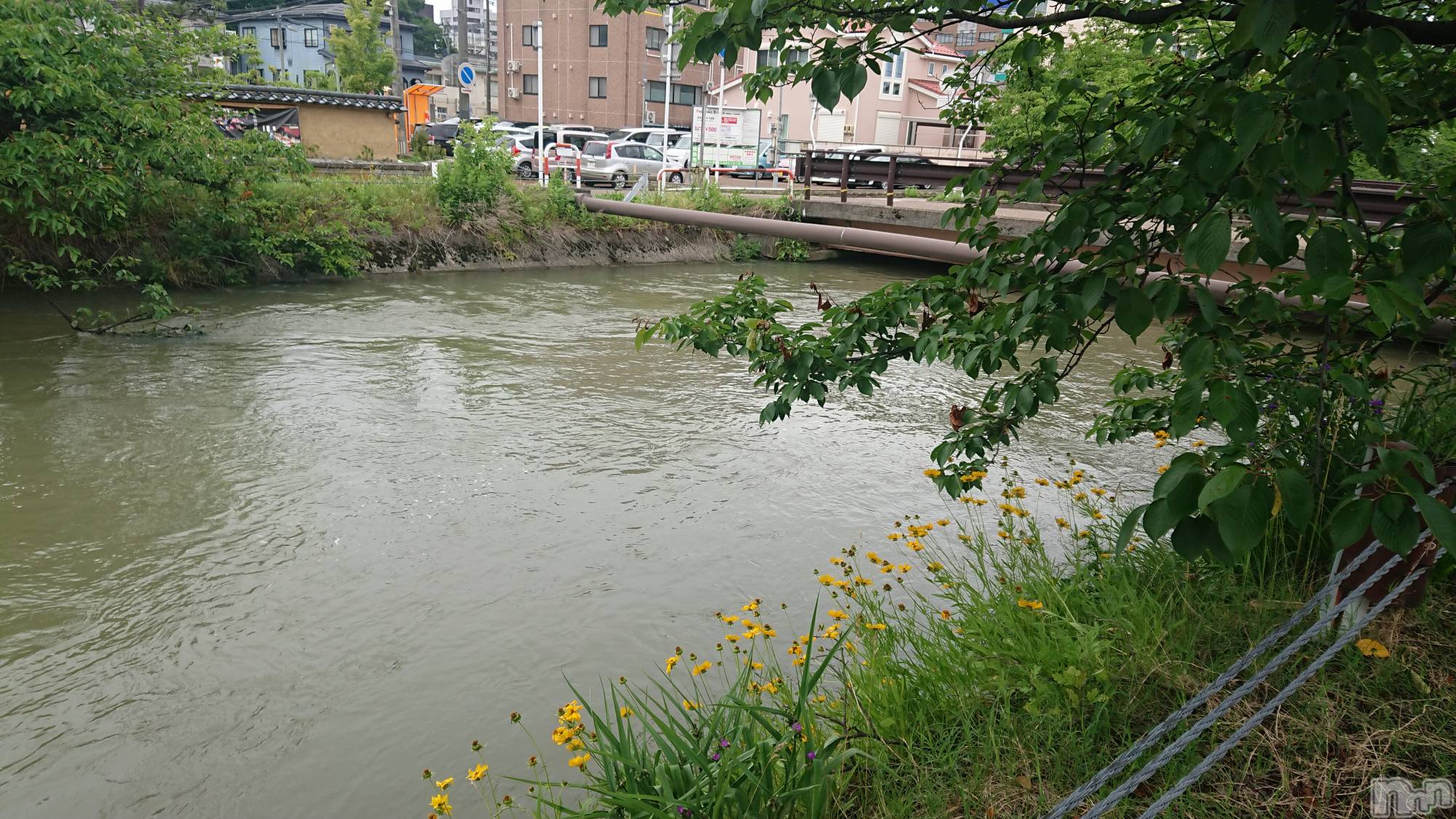 長岡デリヘル人妻楼　長岡店(ヒトヅマロウ　ナガオカテン)なな(43)の2022年6月14日写メブログ「何故こんな・・」