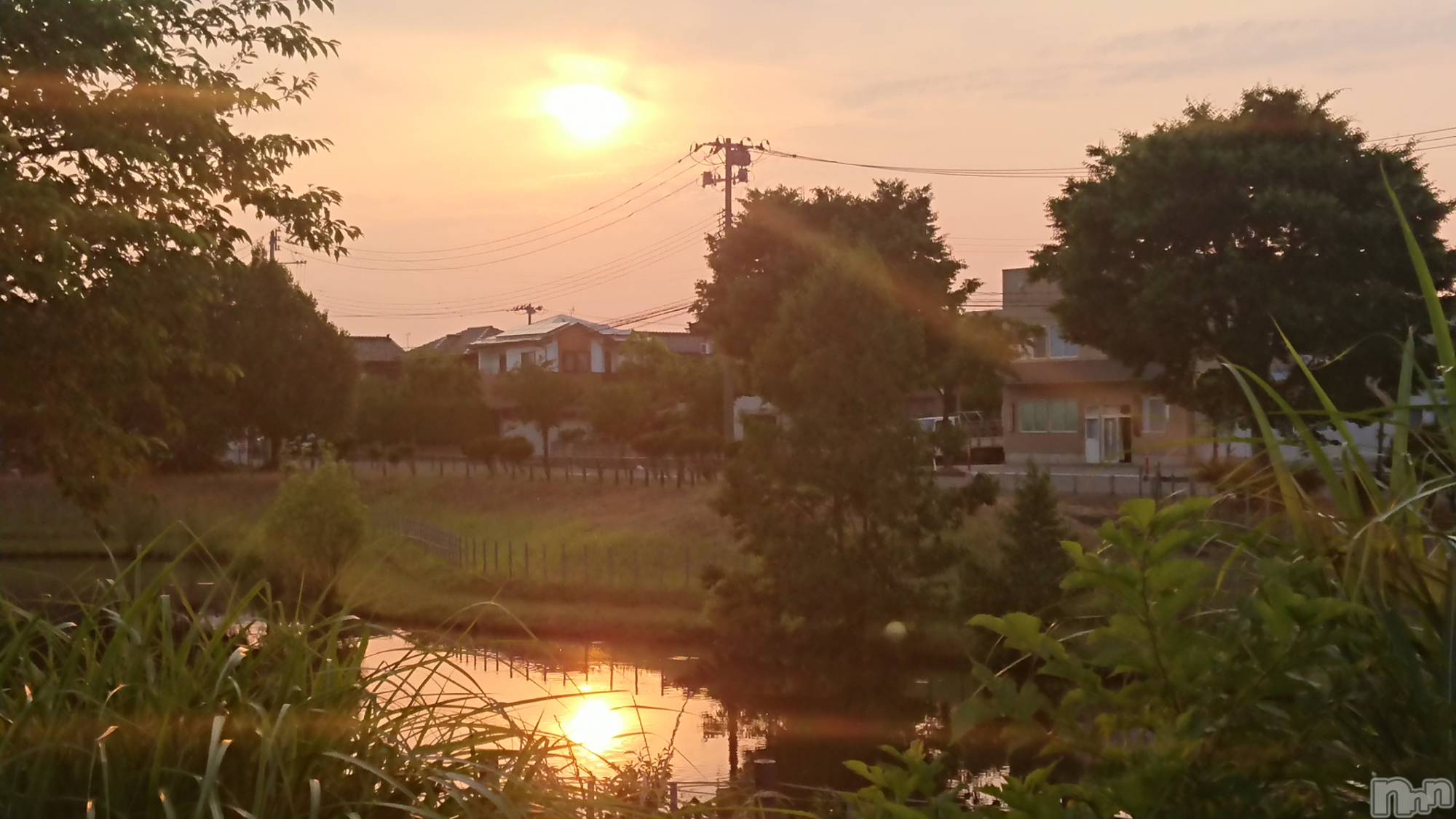 長岡人妻デリヘル人妻楼　長岡店(ヒトヅマロウ　ナガオカテン)なな(43)の2022年6月18日写メブログ「下着までがー！」