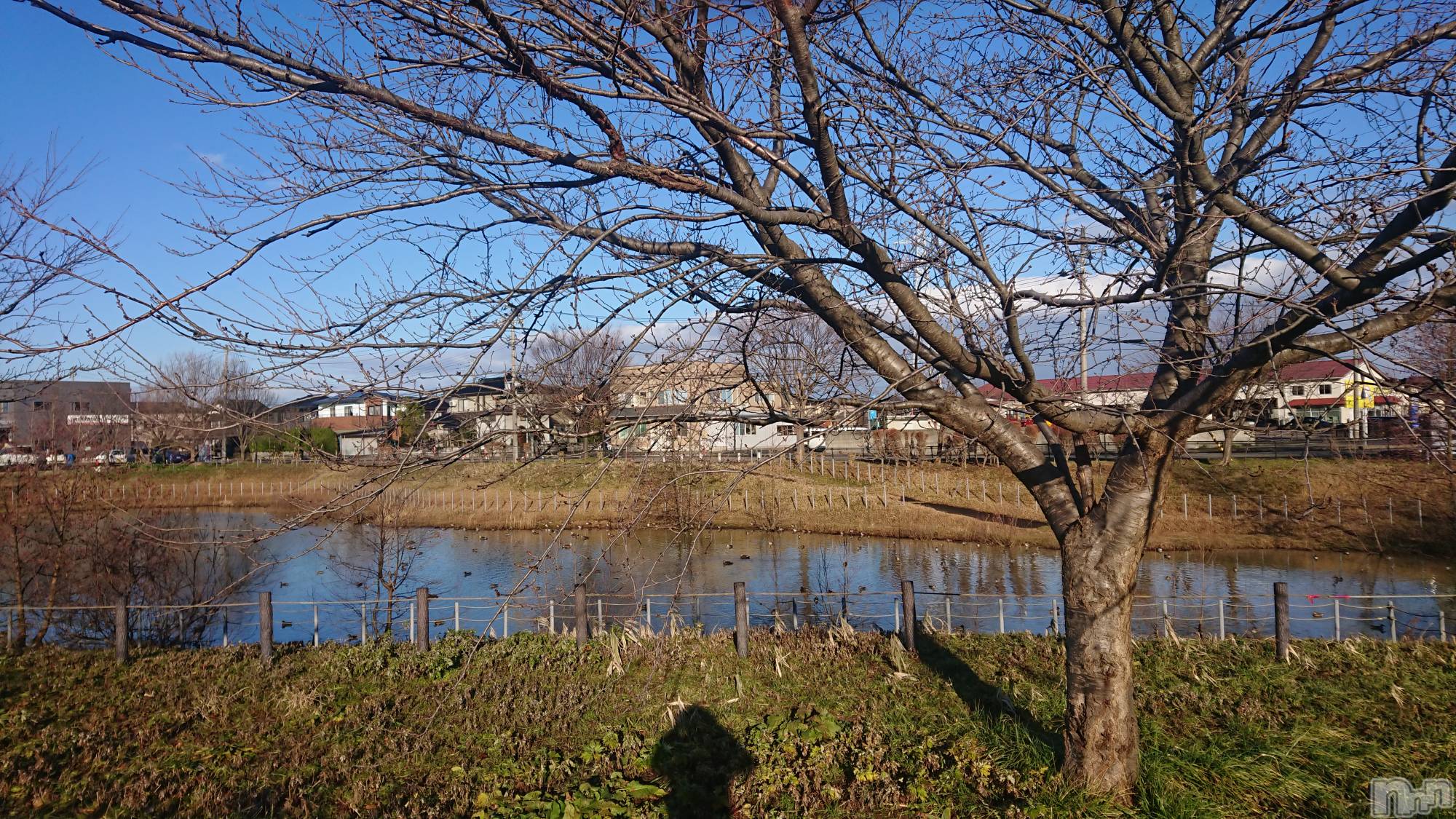 長岡デリヘル人妻楼　長岡店(ヒトヅマロウ　ナガオカテン)なな(43)の2023年1月11日写メブログ「嘘です！」