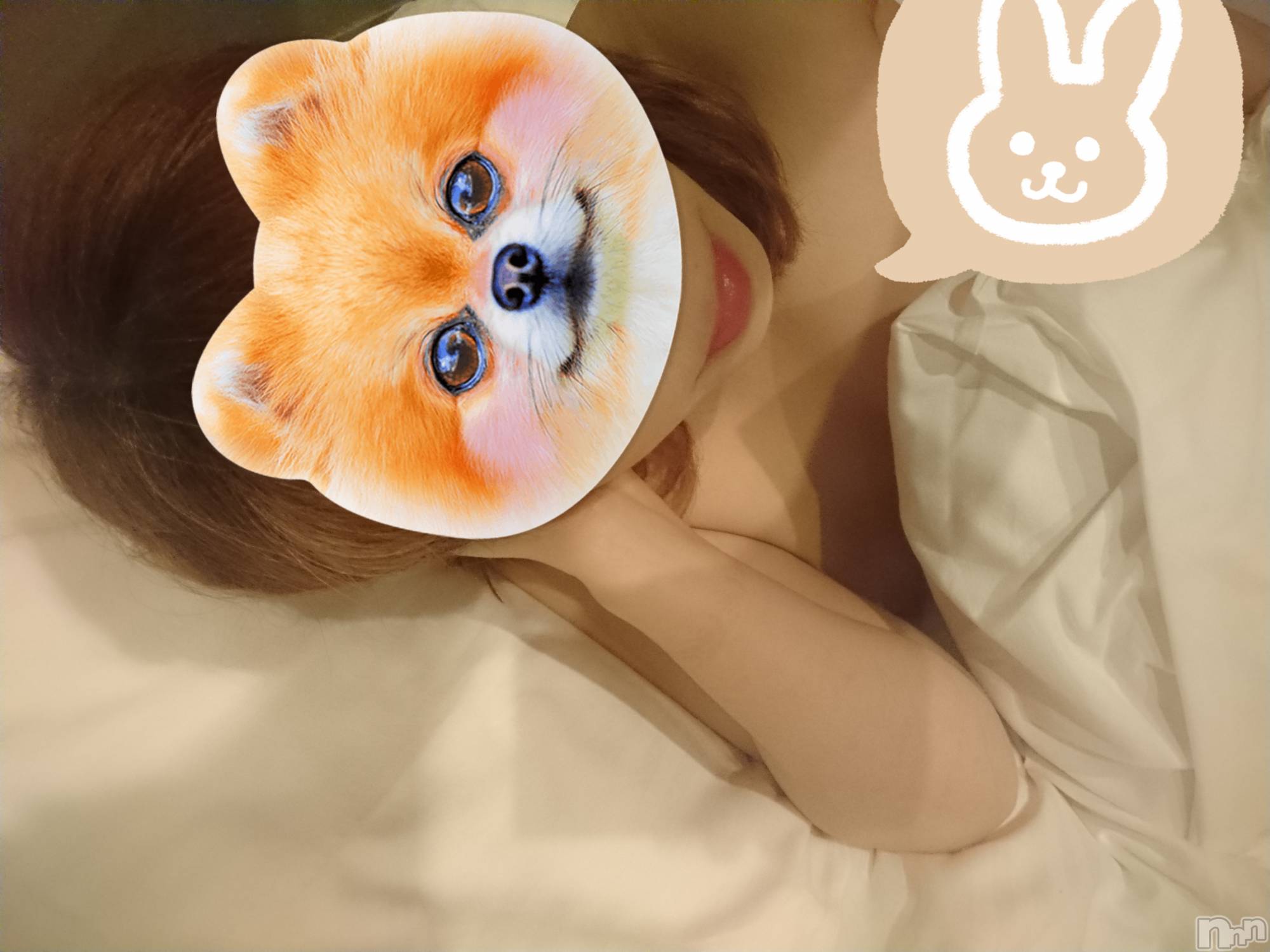 長岡デリヘル人妻楼　長岡店(ヒトヅマロウ　ナガオカテン)なな(43)の2023年6月27日写メブログ「逮捕されて・・」