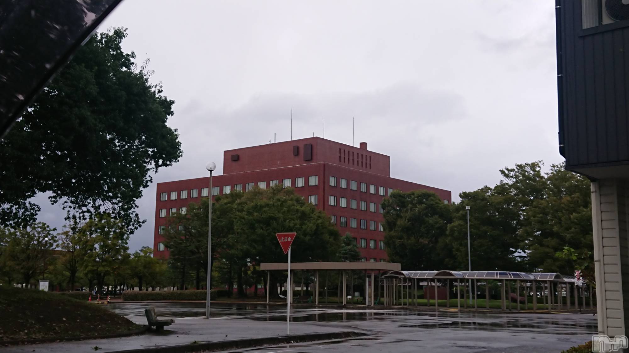 長岡デリヘル人妻楼　長岡店(ヒトヅマロウ　ナガオカテン)なな(43)の2023年10月5日写メブログ「わー！」