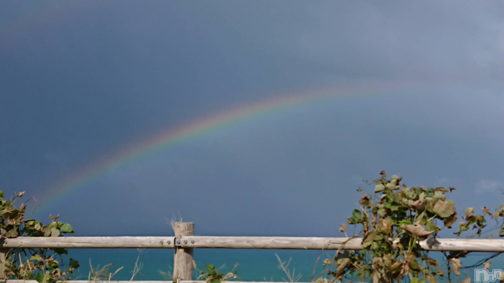 長岡デリヘル人妻楼　長岡店(ヒトヅマロウ　ナガオカテン)なな(43)の2023年10月29日写メブログ「米山を走行中に」