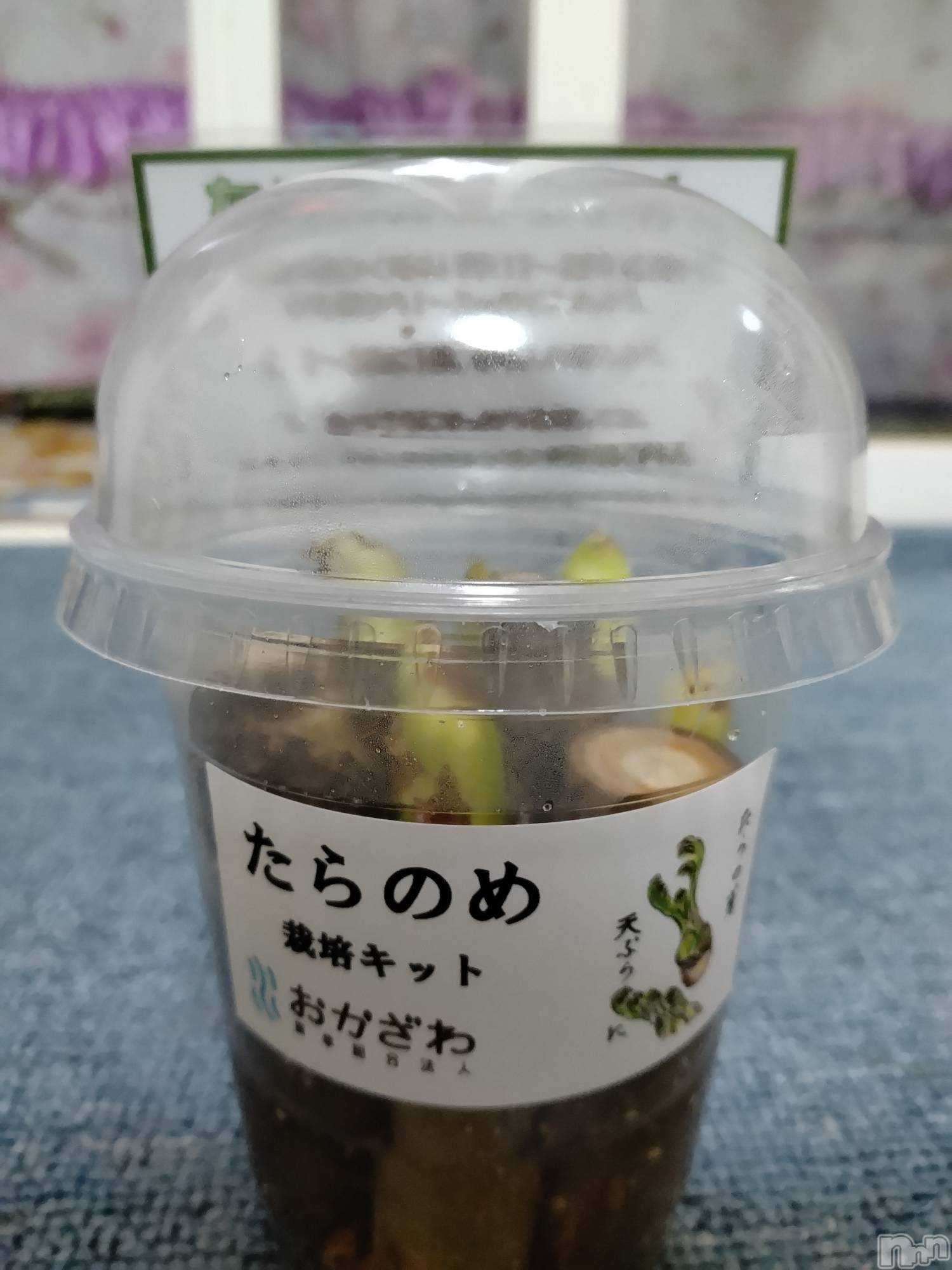 長岡デリヘル人妻楼　長岡店(ヒトヅマロウ　ナガオカテン)なな(43)の2024年2月23日写メブログ「こんなのが！！」