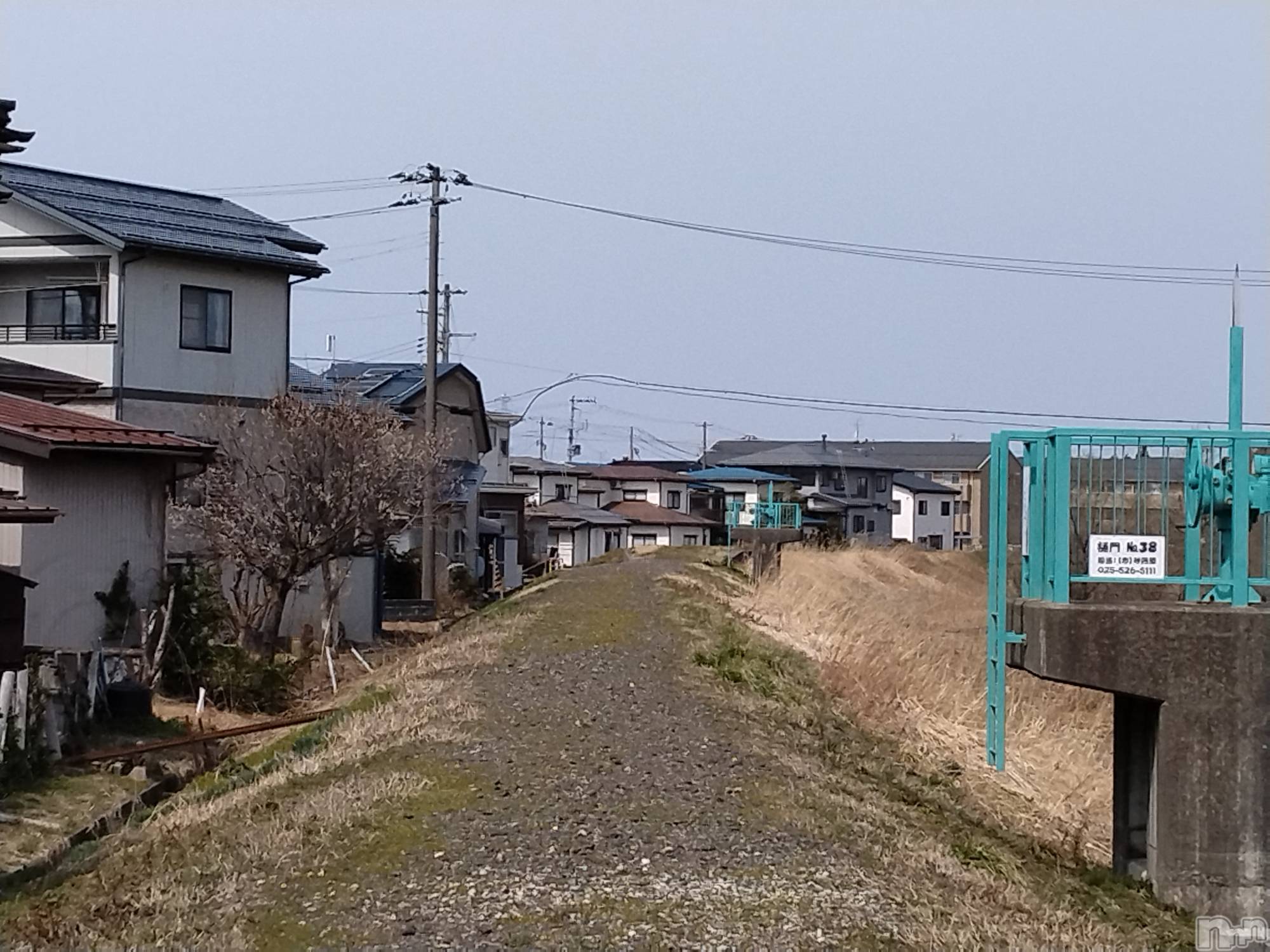 長岡人妻デリヘル人妻楼　長岡店(ヒトヅマロウ　ナガオカテン)なな(38)の2024年3月23日写メブログ「八号線へ続く道」