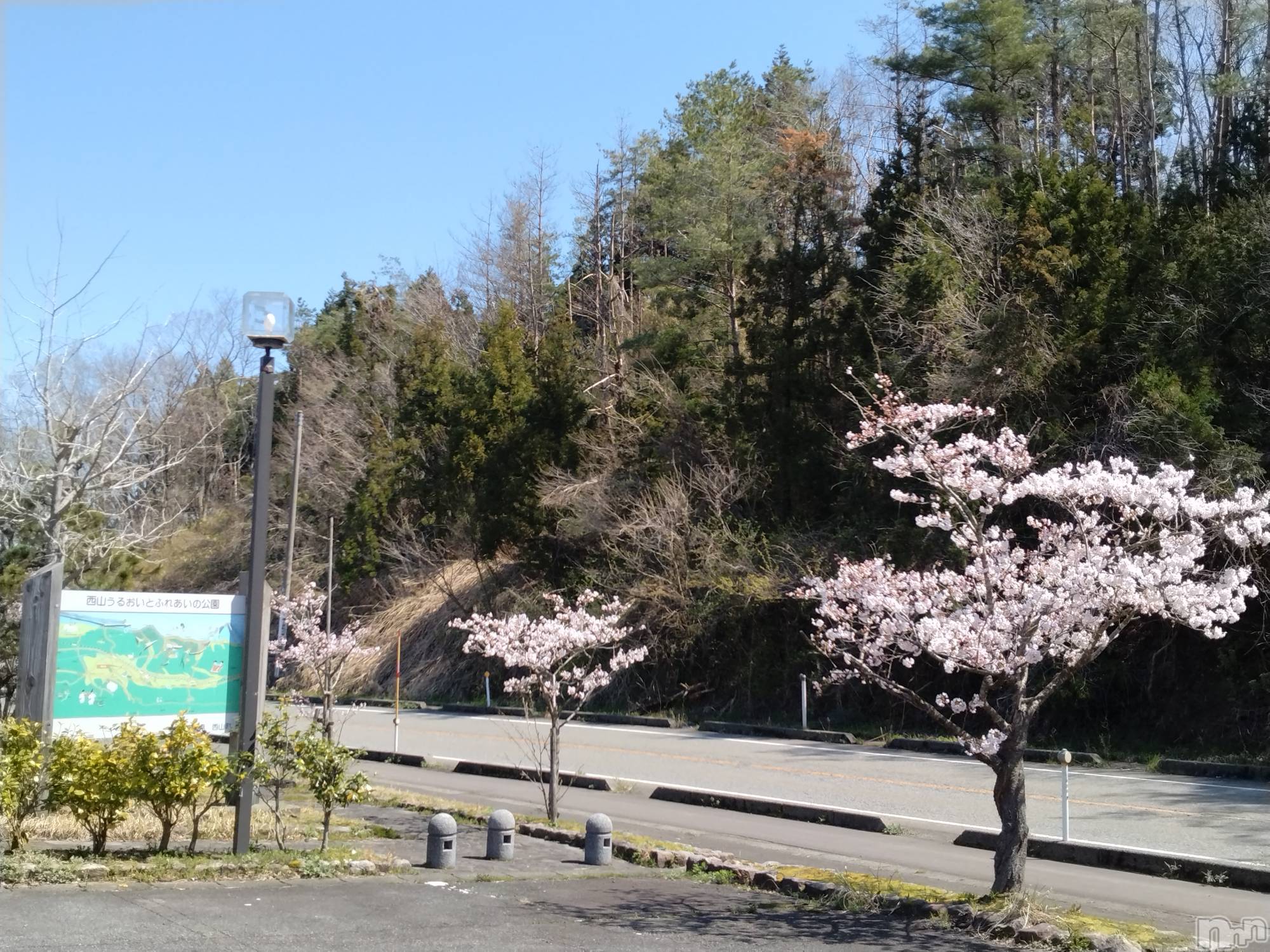 長岡人妻デリヘル人妻楼　長岡店(ヒトヅマロウ　ナガオカテン)なな(38)の2024年4月10日写メブログ「西山町の」