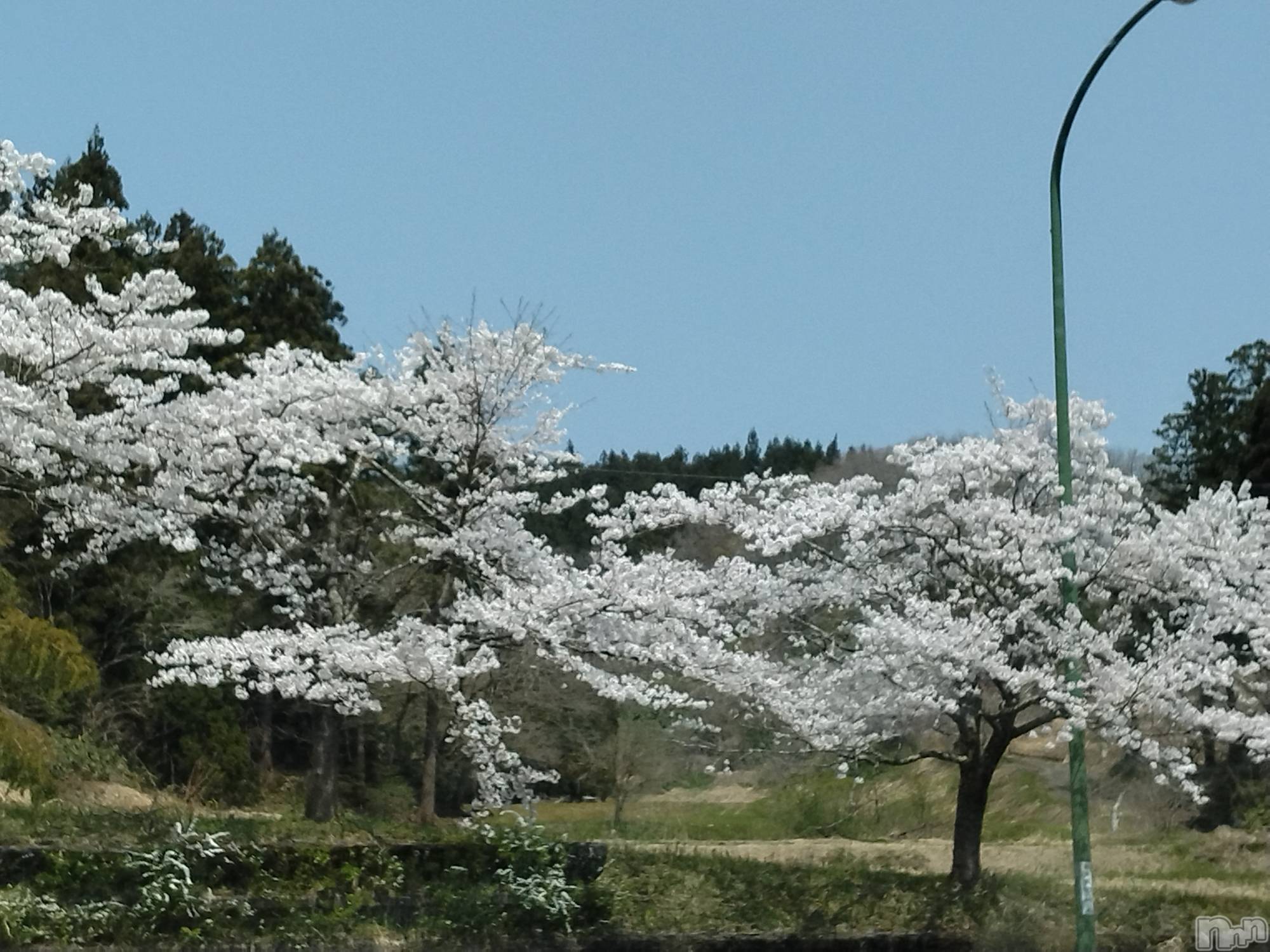 長岡人妻デリヘル人妻楼　長岡店(ヒトヅマロウ　ナガオカテン)なな(38)の2024年4月14日写メブログ「この場所は」