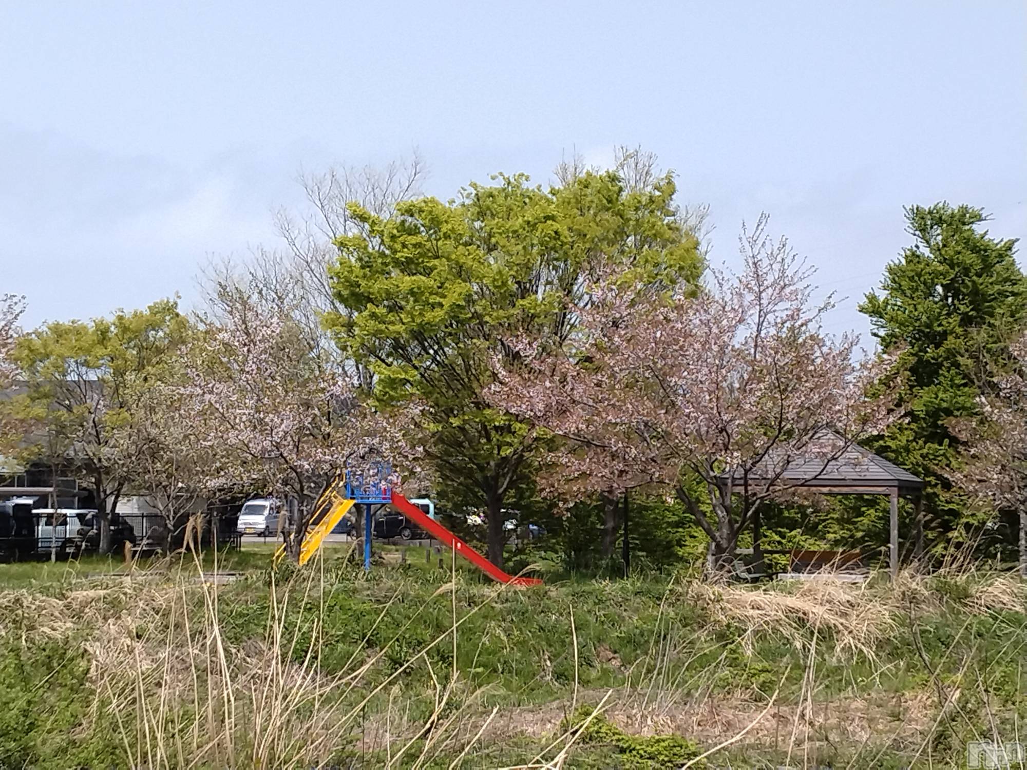 長岡デリヘル人妻楼　長岡店(ヒトヅマロウ　ナガオカテン)なな(43)の2024年4月17日写メブログ「3日間で私は」