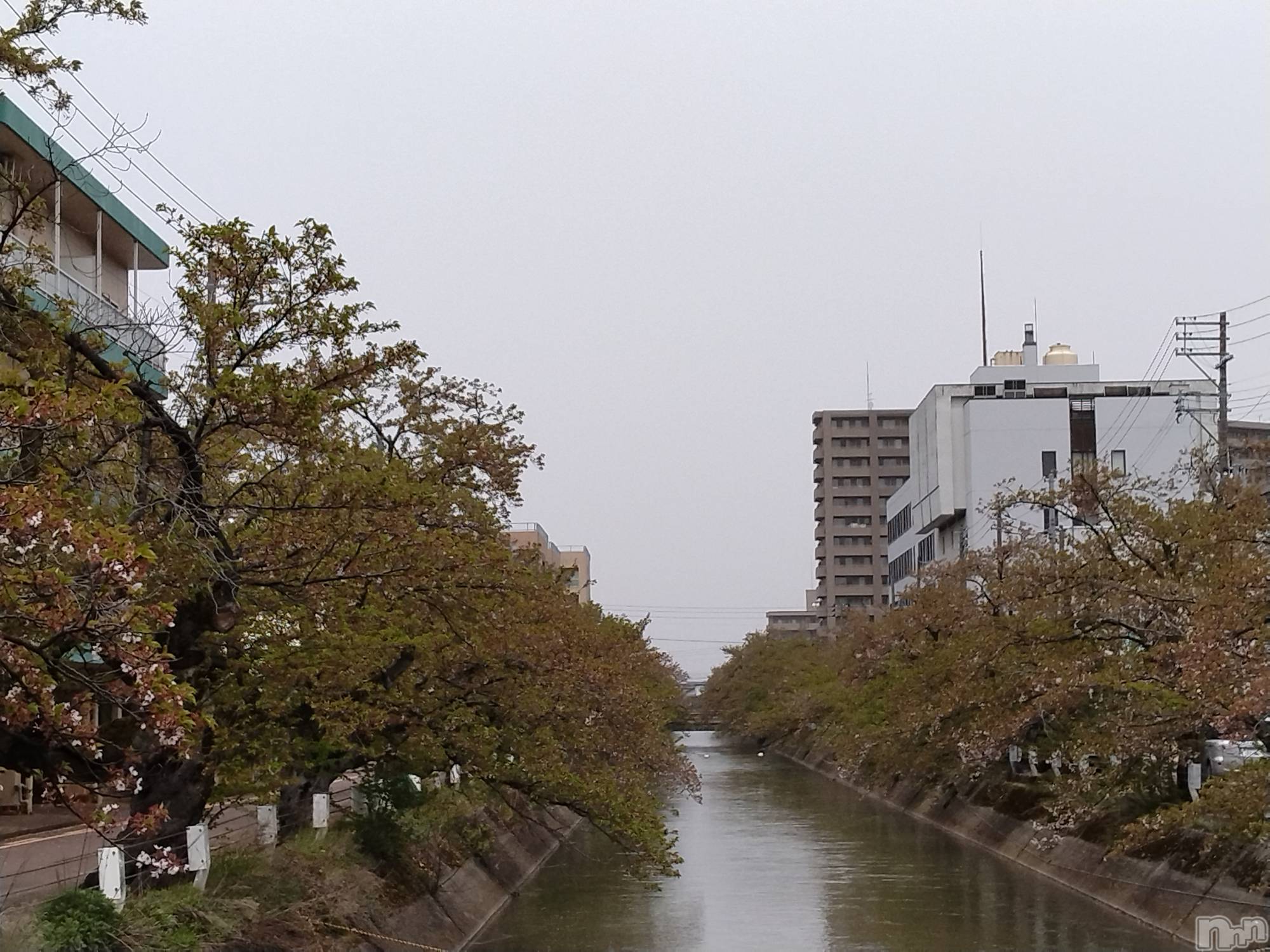 長岡人妻デリヘル人妻楼　長岡店(ヒトヅマロウ　ナガオカテン)なな(38)の2024年4月18日写メブログ「長岡の駅裏」