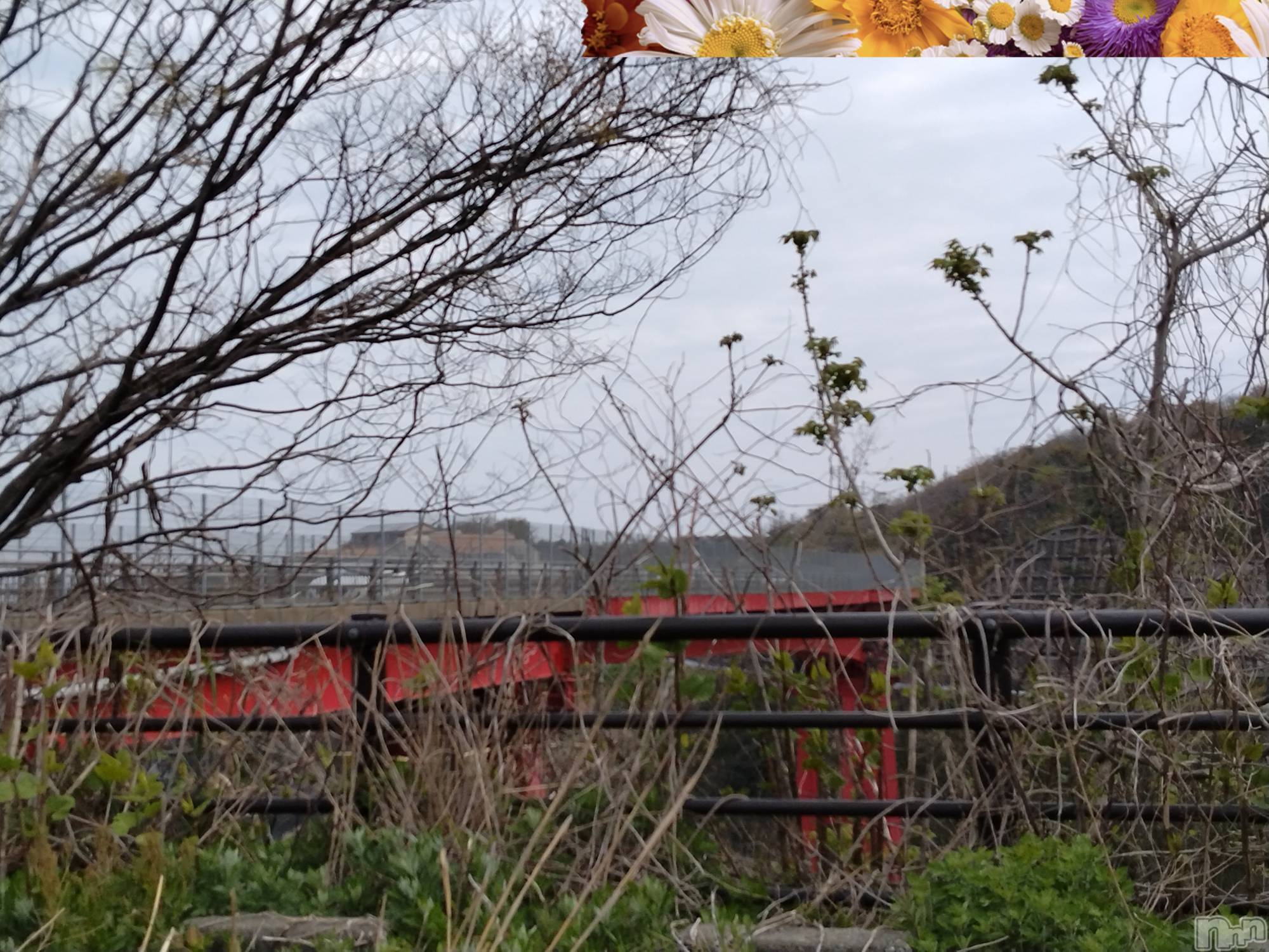 長岡人妻デリヘル人妻楼　長岡店(ヒトヅマロウ　ナガオカテン)なな(43)の2024年4月24日写メブログ「凄いね😯！！」