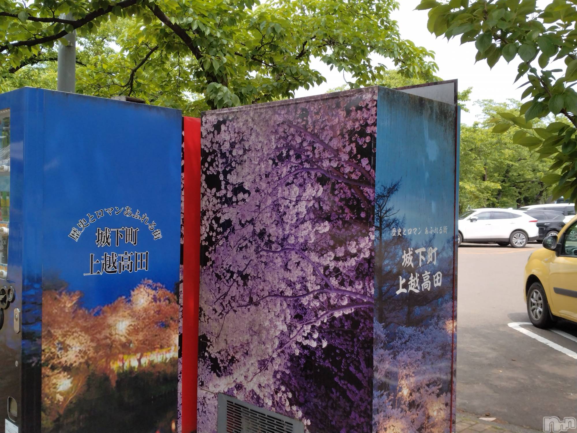 長岡デリヘル人妻楼　長岡店(ヒトヅマロウ　ナガオカテン)なな(43)の2024年5月24日写メブログ「これ何に見えるかな？」