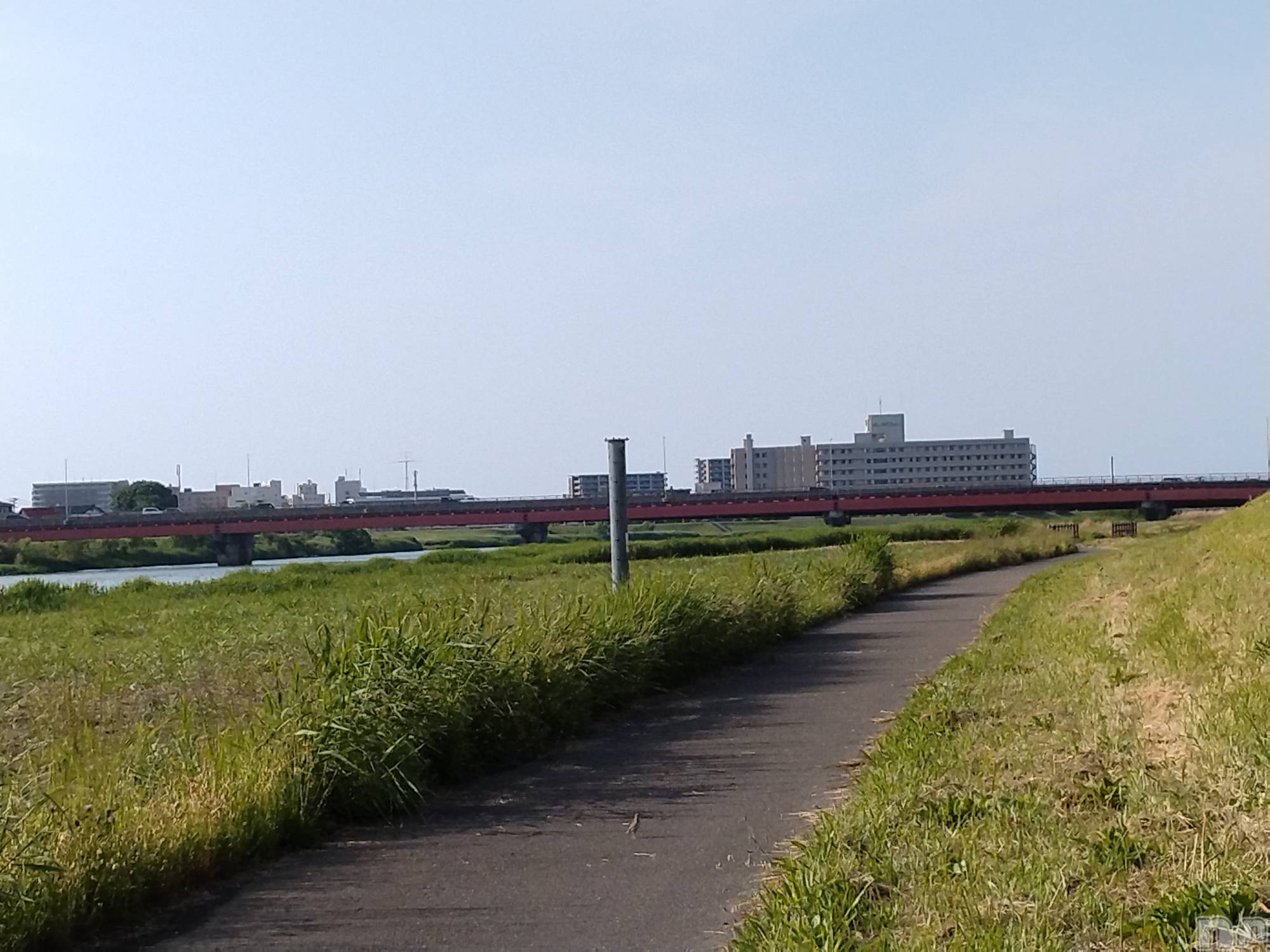 長岡人妻デリヘル人妻楼　長岡店(ヒトヅマロウ　ナガオカテン)なな(43)の2024年5月26日写メブログ「河川敷へ行ったら」