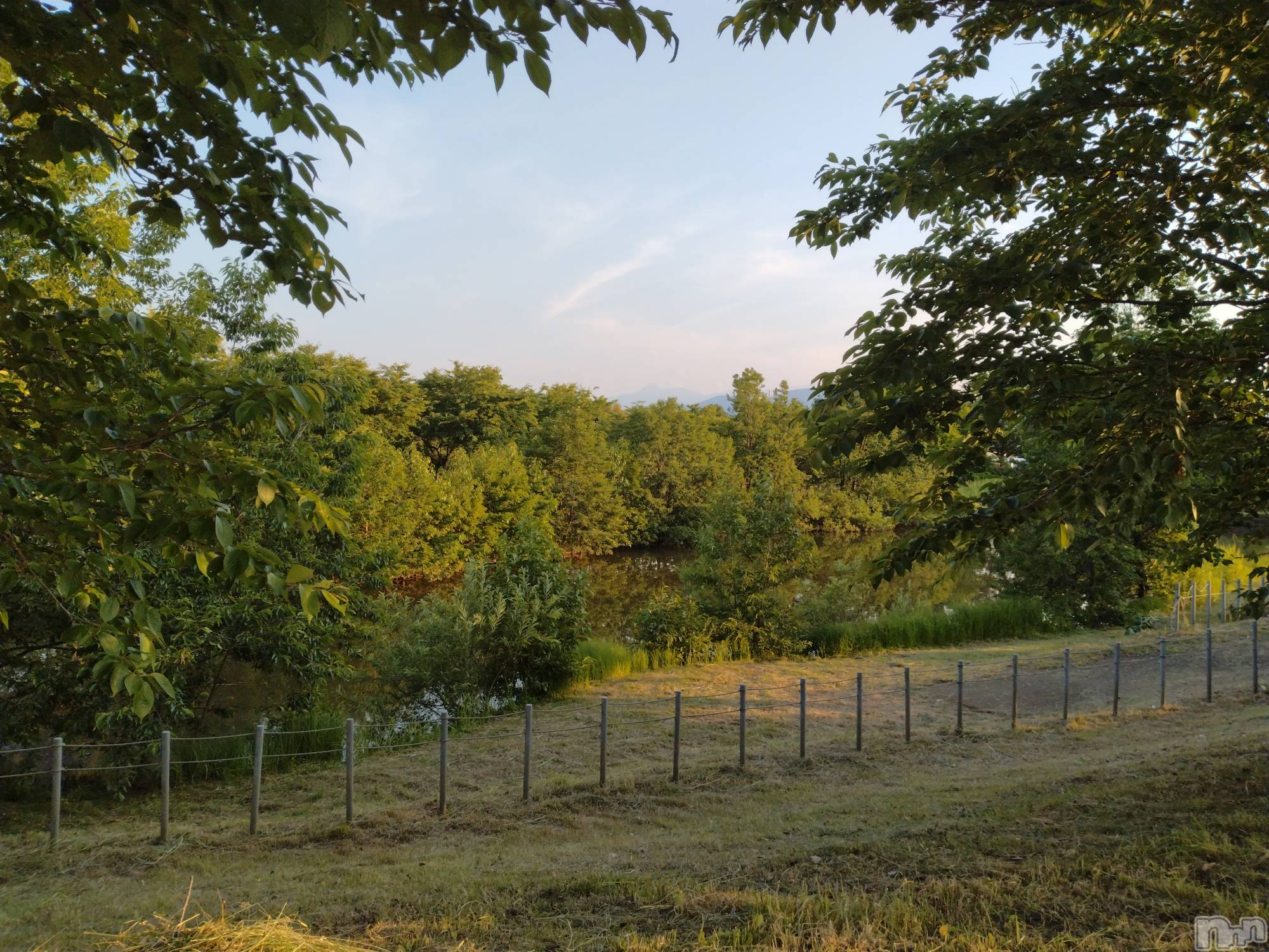 長岡デリヘル人妻楼　長岡店(ヒトヅマロウ　ナガオカテン)なな(43)の2024年6月12日写メブログ「うちの近くは」