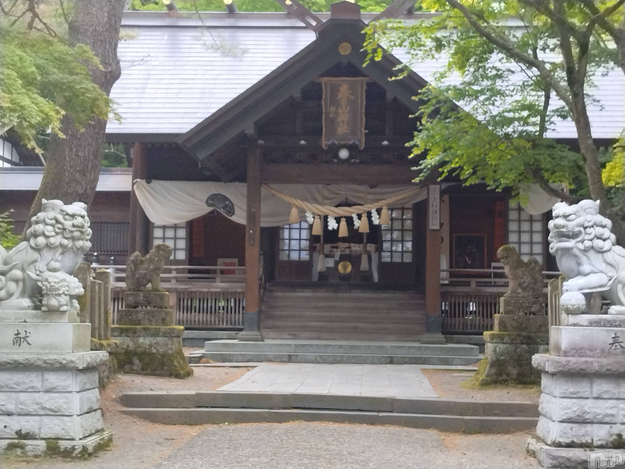 長岡デリヘル人妻楼　長岡店(ヒトヅマロウ　ナガオカテン)なな(43)の2025年5月15日写メブログ「こちらの神社」