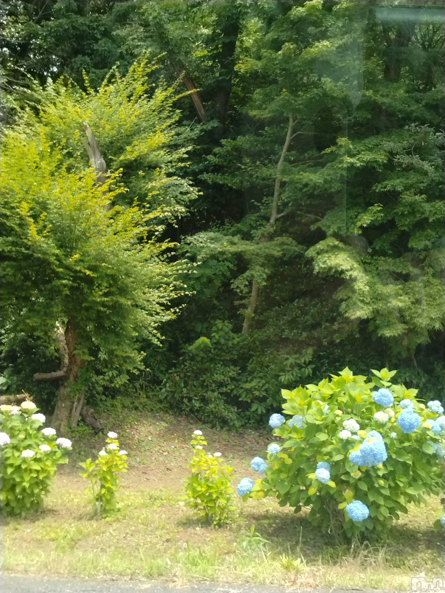 長岡デリヘル人妻楼　長岡店(ヒトヅマロウ　ナガオカテン)なな(43)の2025年6月17日写メブログ「柏崎の」