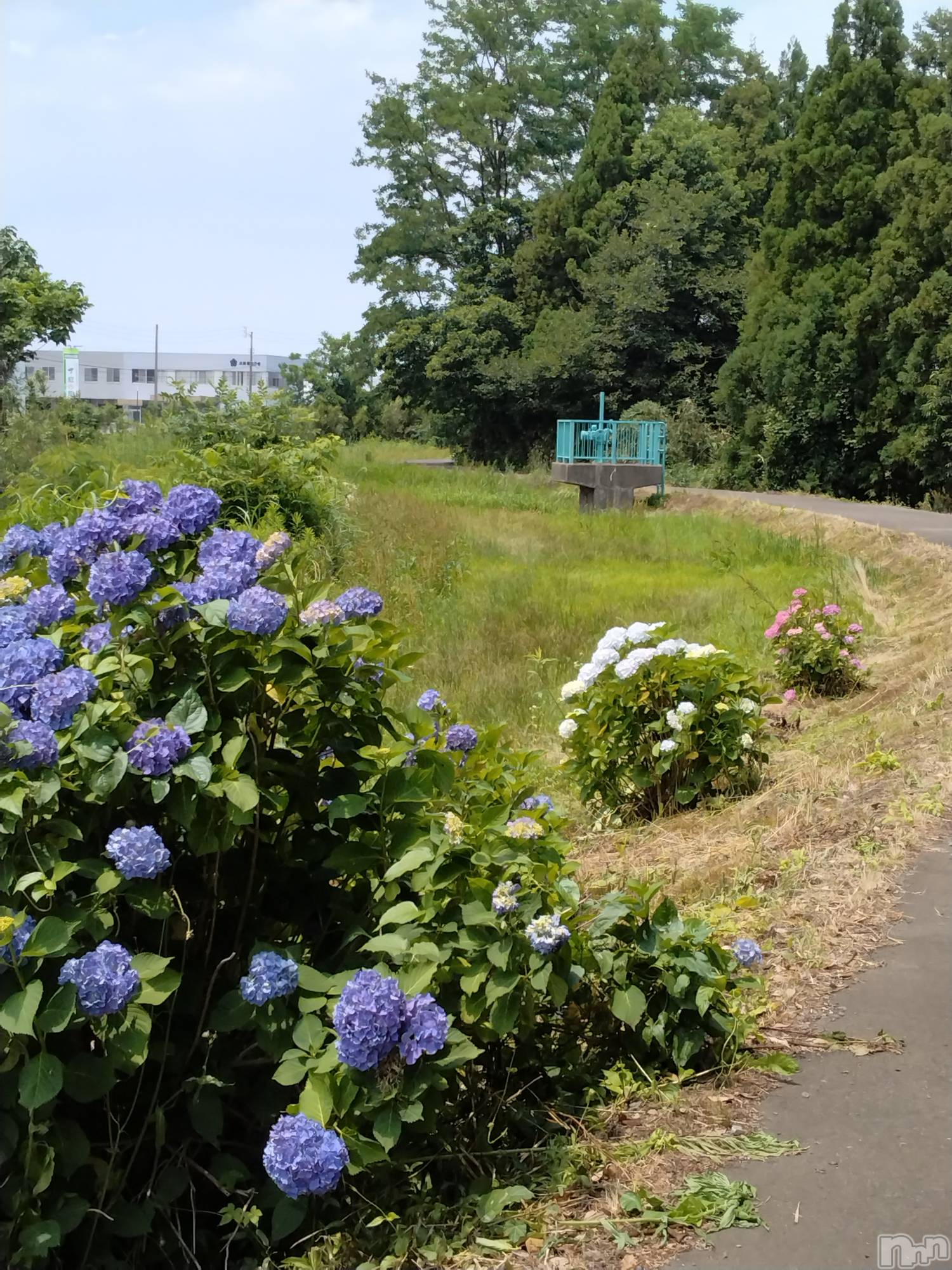 長岡人妻デリヘル人妻楼　長岡店(ヒトヅマロウ　ナガオカテン)なな(43)の2025年6月27日写メブログ「早いかもね！」