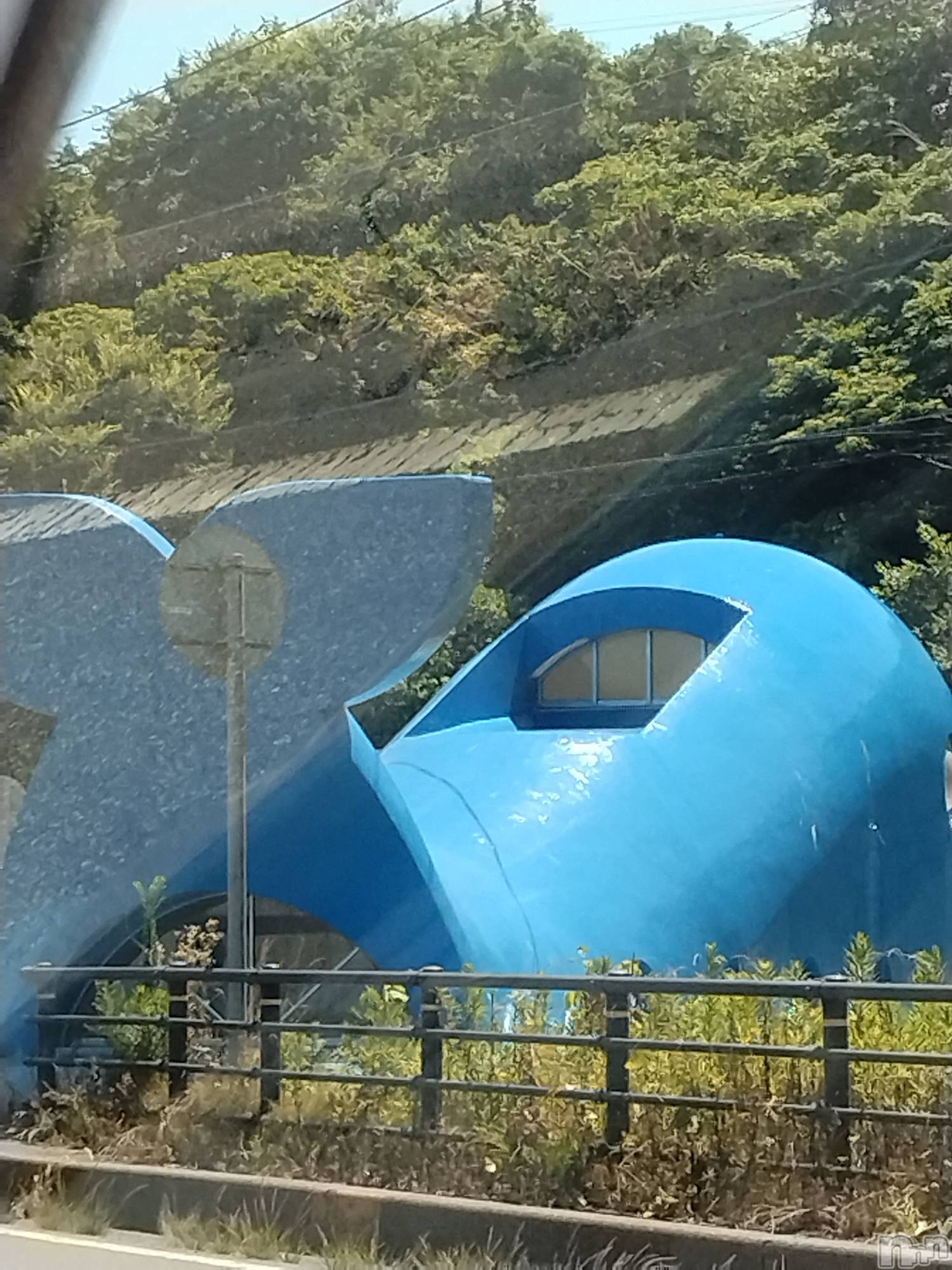 長岡デリヘル人妻楼　長岡店(ヒトヅマロウ　ナガオカテン)なな(43)の2025年7月20日写メブログ「鯨波の🐋ちゃん」