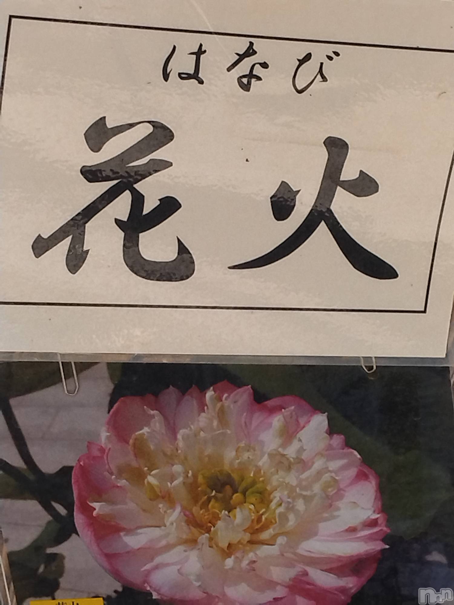 長岡人妻デリヘル人妻楼　長岡店(ヒトヅマロウ　ナガオカテン)なな(43)の2025年8月1日写メブログ「こちらも花火が！」