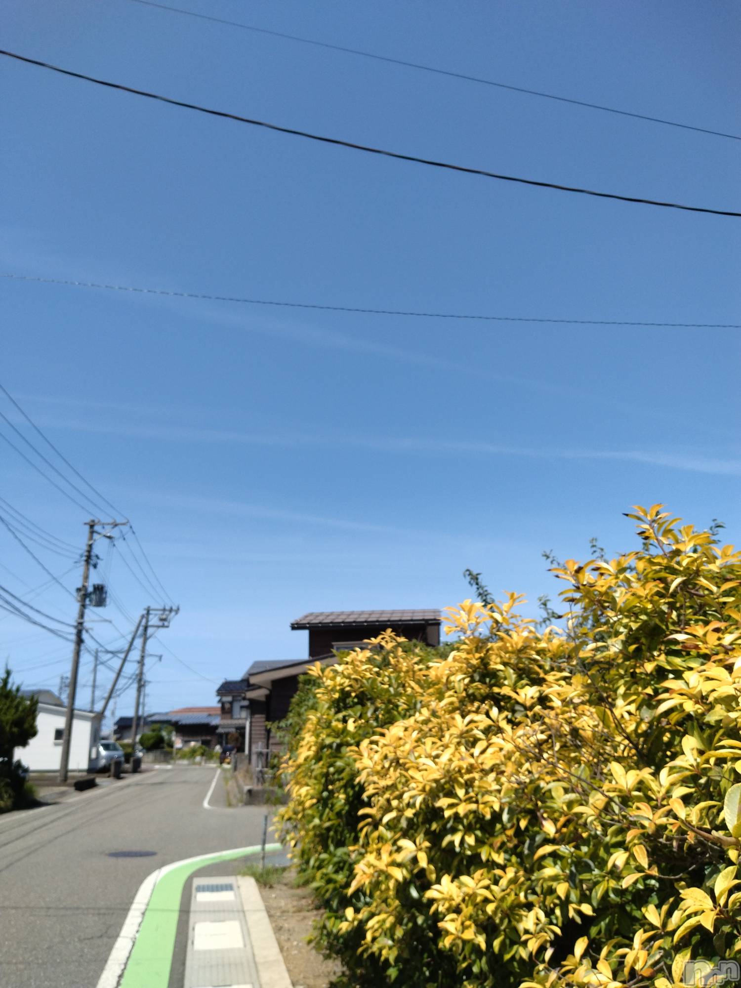 長岡デリヘル人妻楼　長岡店(ヒトヅマロウ　ナガオカテン)なな(43)の2025年8月16日写メブログ「今日近所で」