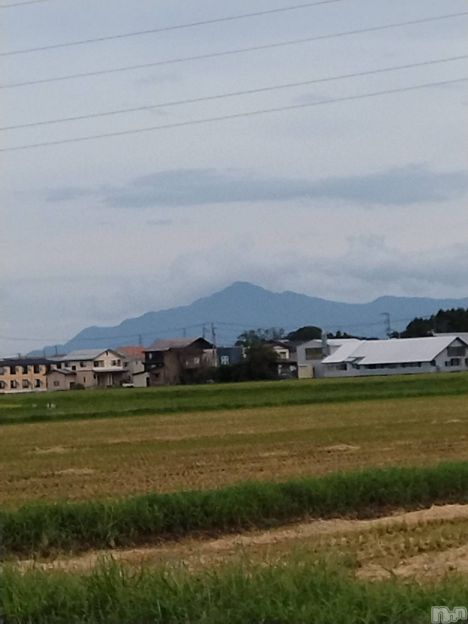 長岡人妻デリヘル人妻楼　長岡店(ヒトヅマロウ　ナガオカテン)なな(43)の2025年9月12日写メブログ「実は今日。。！」