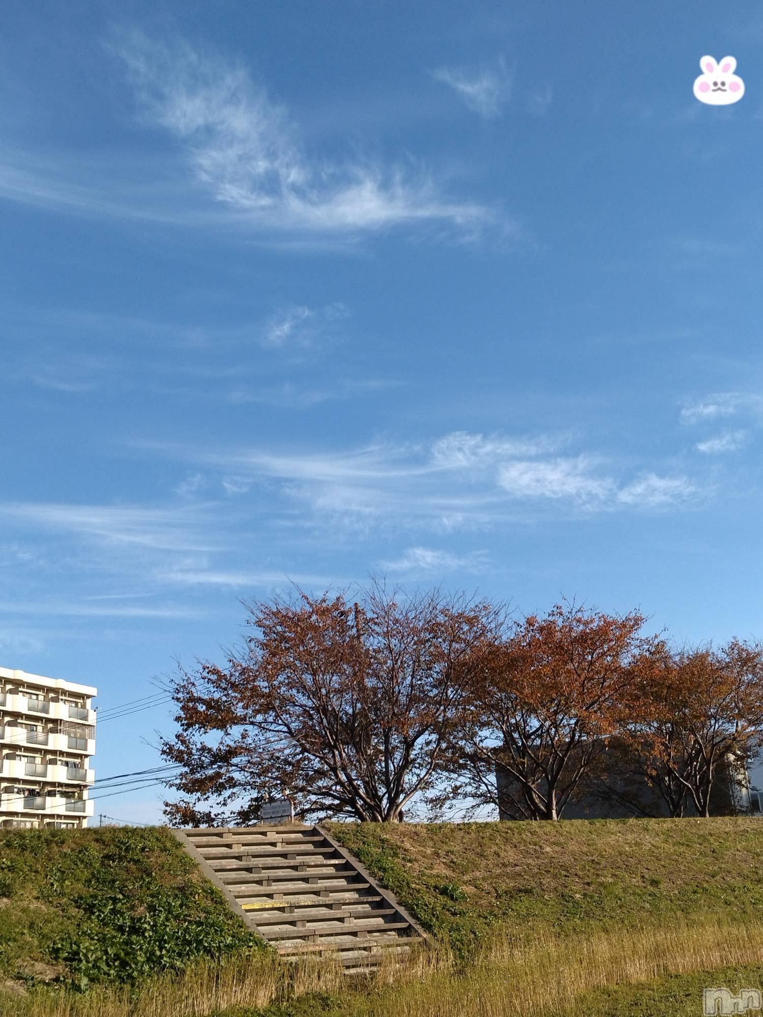 長岡デリヘル人妻楼　長岡店(ヒトヅマロウ　ナガオカテン)なな(43)の2025年11月16日写メブログ「今日は沢山の人が」