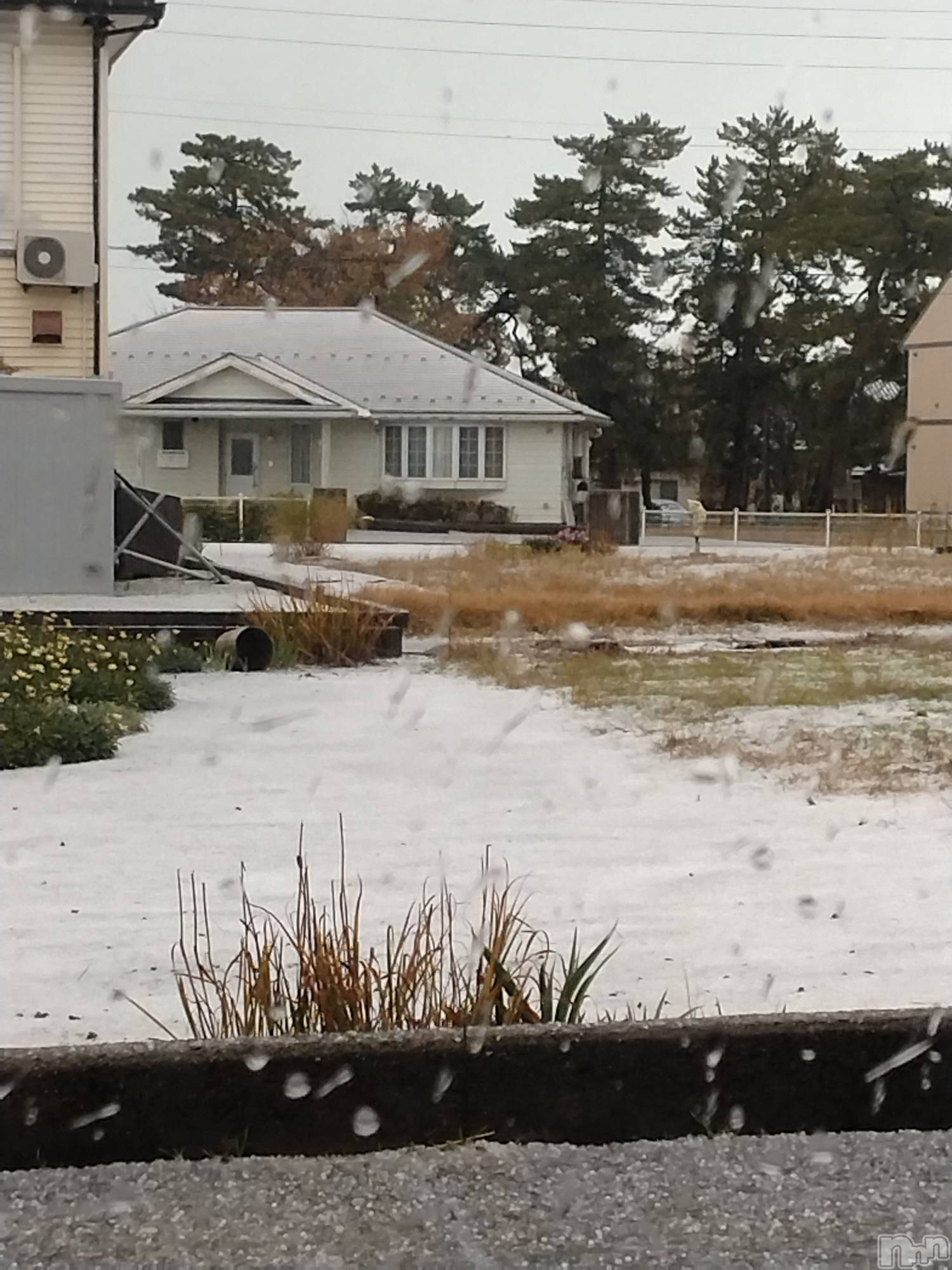 長岡デリヘル人妻楼　長岡店(ヒトヅマロウ　ナガオカテン)なな(43)の2025年11月19日写メブログ「近所の8号線が」
