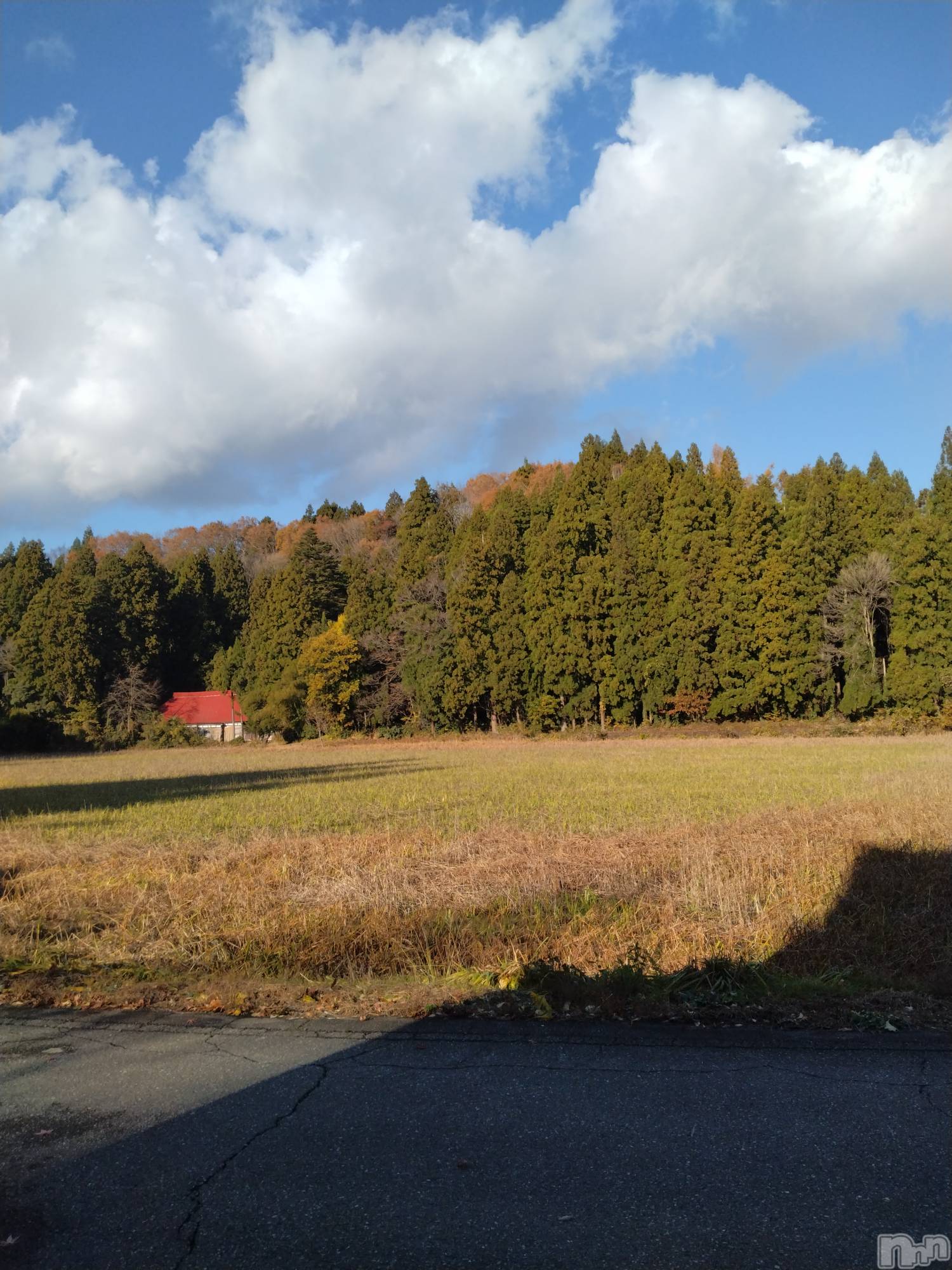 長岡デリヘル人妻楼　長岡店(ヒトヅマロウ　ナガオカテン)なな(43)の2025年11月22日写メブログ「カキツバタ」
