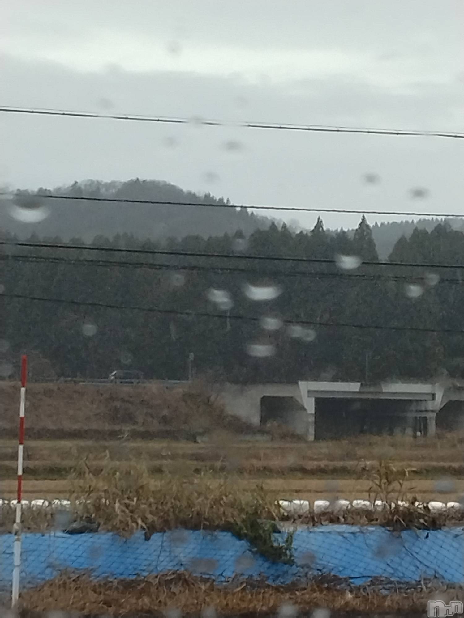 長岡デリヘル人妻楼　長岡店(ヒトヅマロウ　ナガオカテン)なな(43)の2025年12月14日写メブログ「先に見える北陸道は」