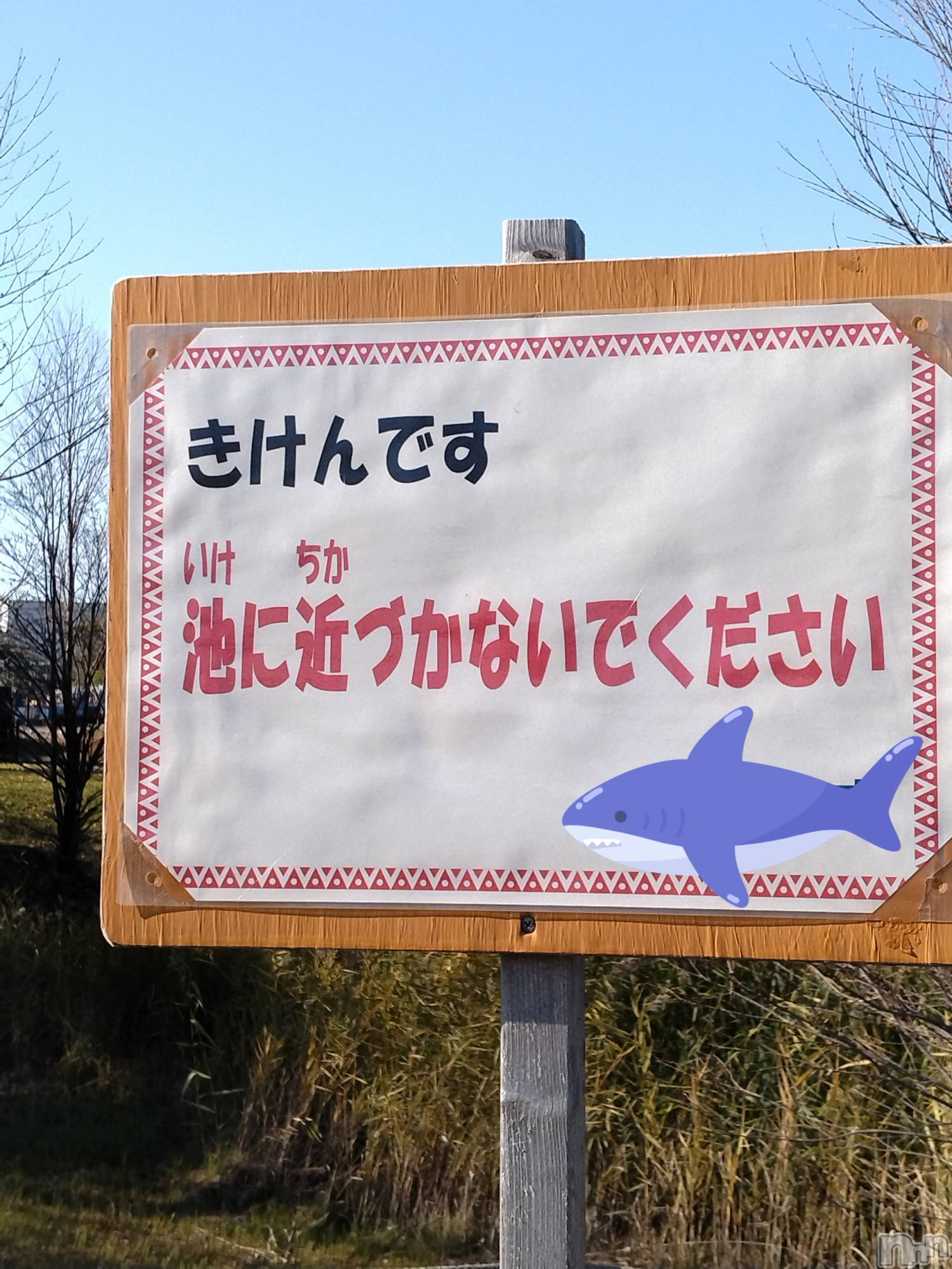 長岡デリヘル人妻楼　長岡店(ヒトヅマロウ　ナガオカテン)なな(43)の2025年12月17日写メブログ「池に近づくと。。」