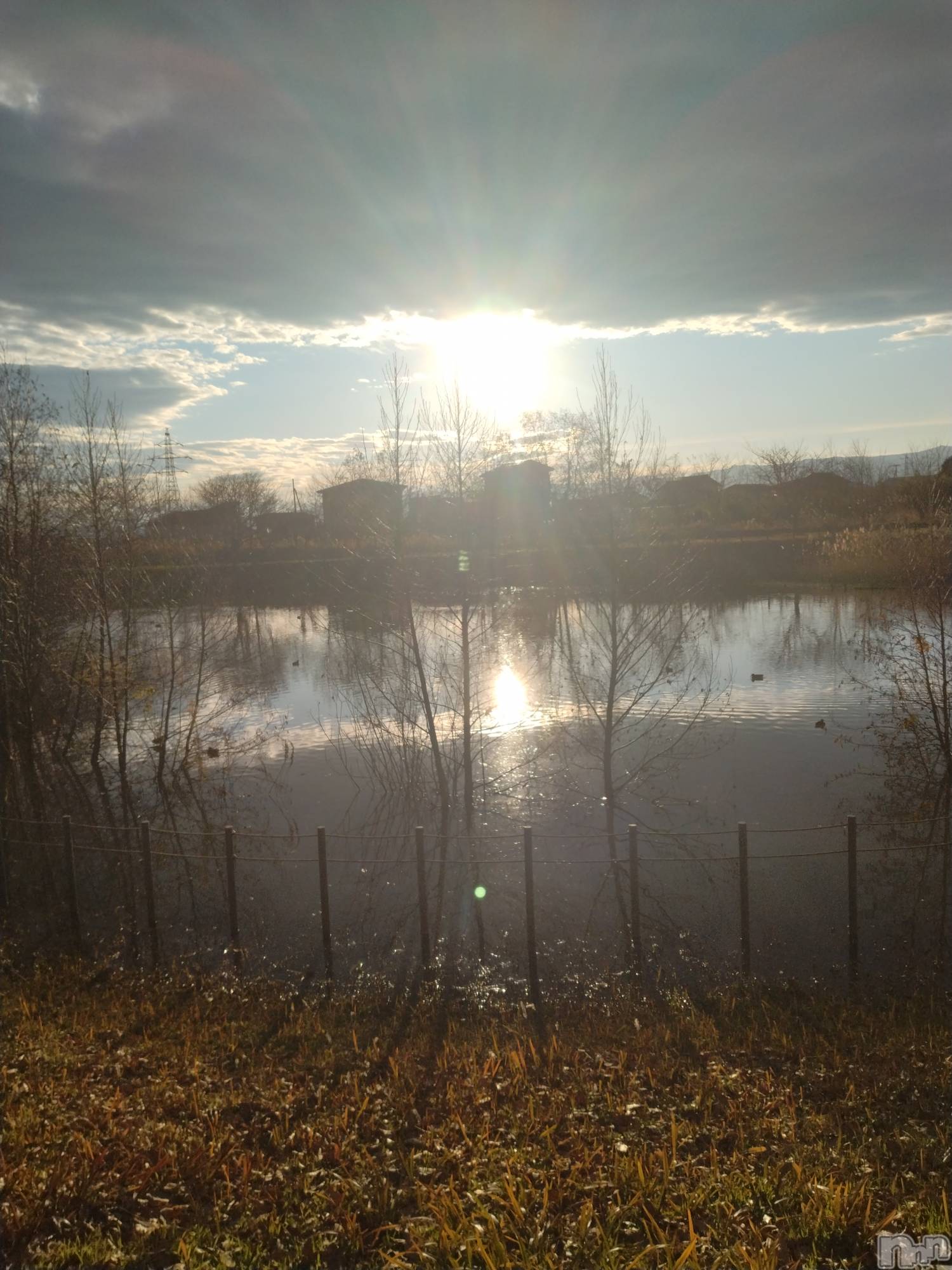長岡デリヘル人妻楼　長岡店(ヒトヅマロウ　ナガオカテン)なな(43)の2025年12月21日写メブログ「半分私は」