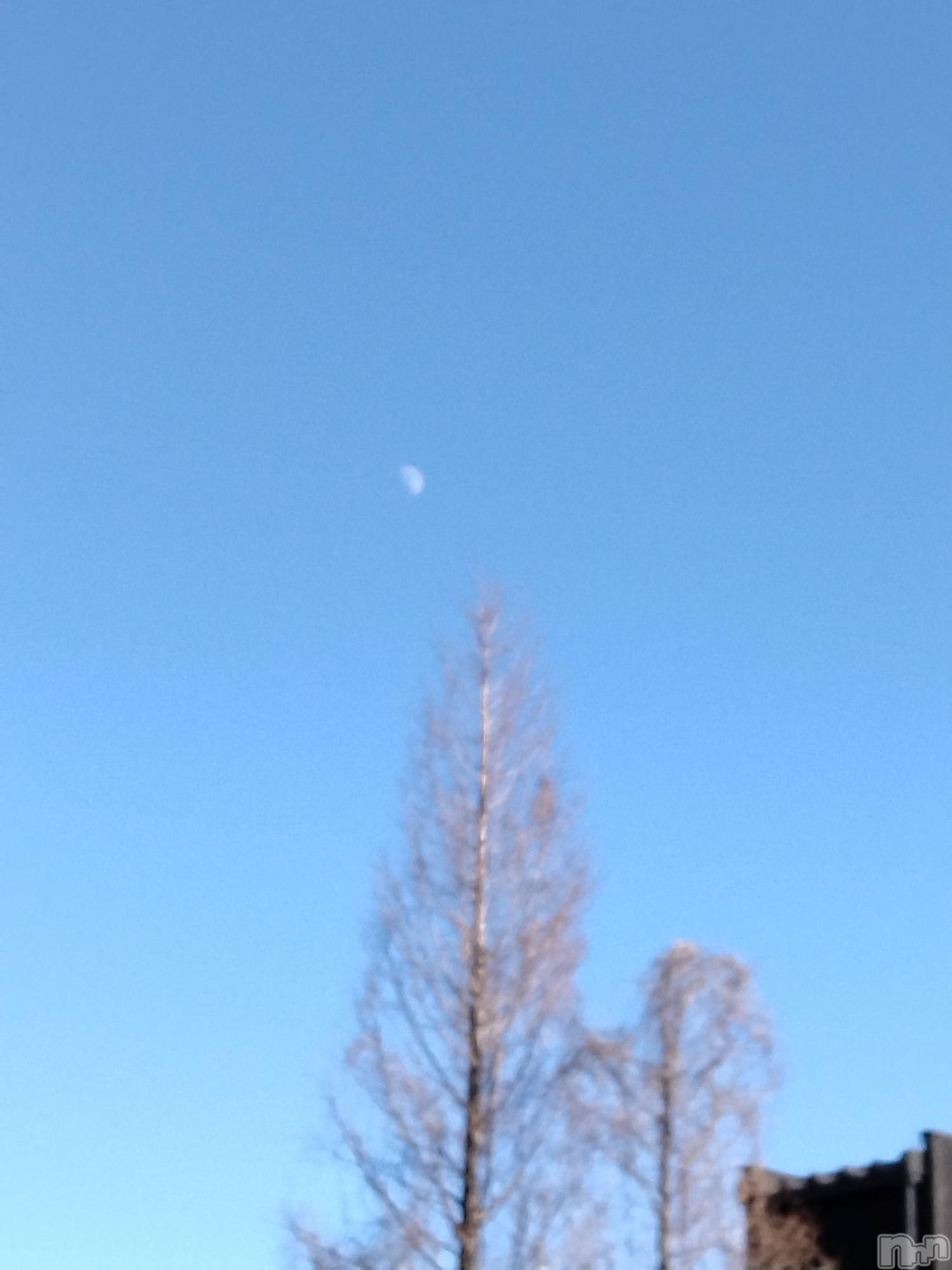 長岡デリヘル人妻楼　長岡店(ヒトヅマロウ　ナガオカテン)なな(43)の2025年12月29日写メブログ「あと3日で」