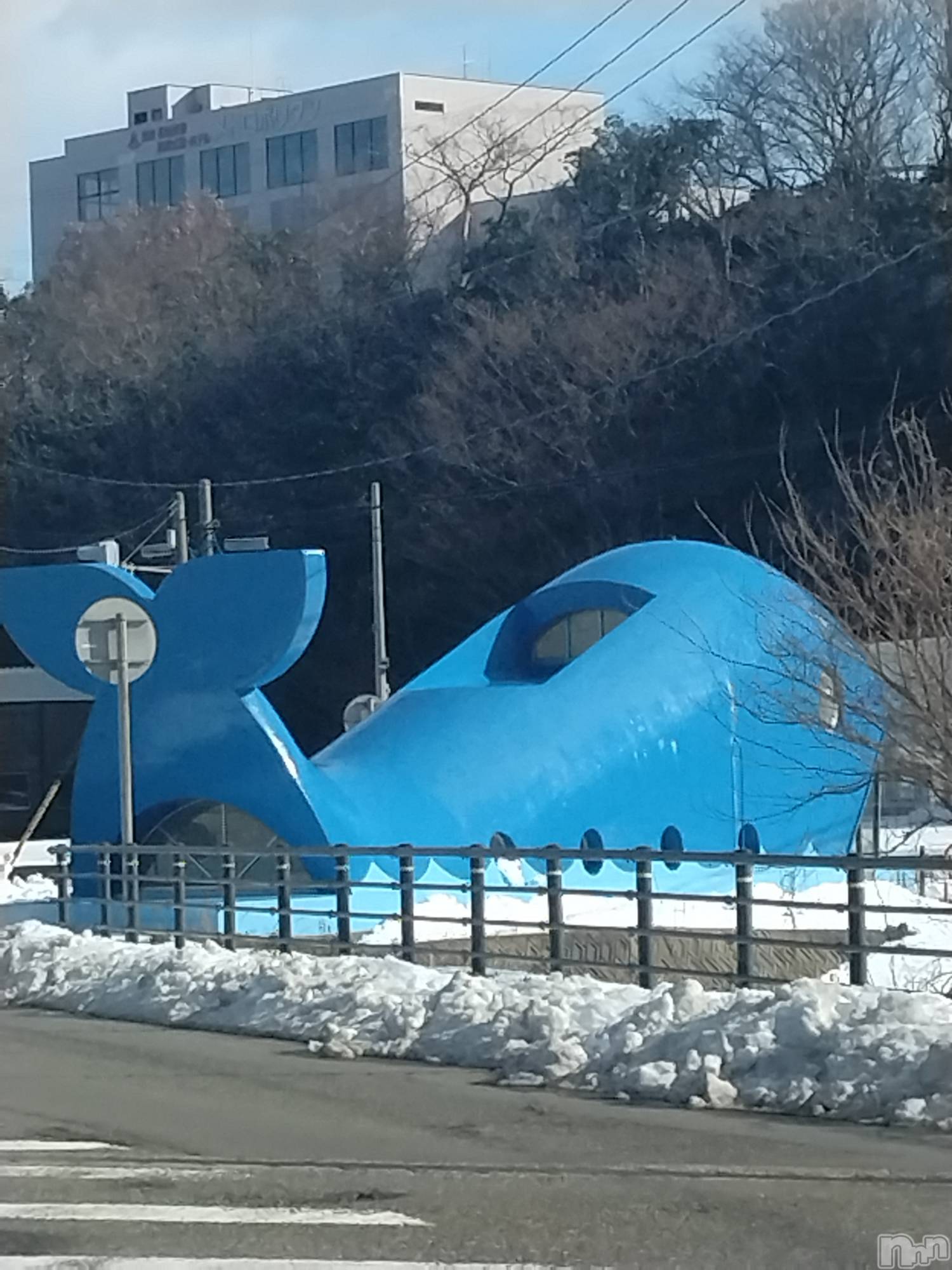 長岡デリヘル人妻楼　長岡店(ヒトヅマロウ　ナガオカテン)なな(43)の2026年1月4日写メブログ「くじらなみ」