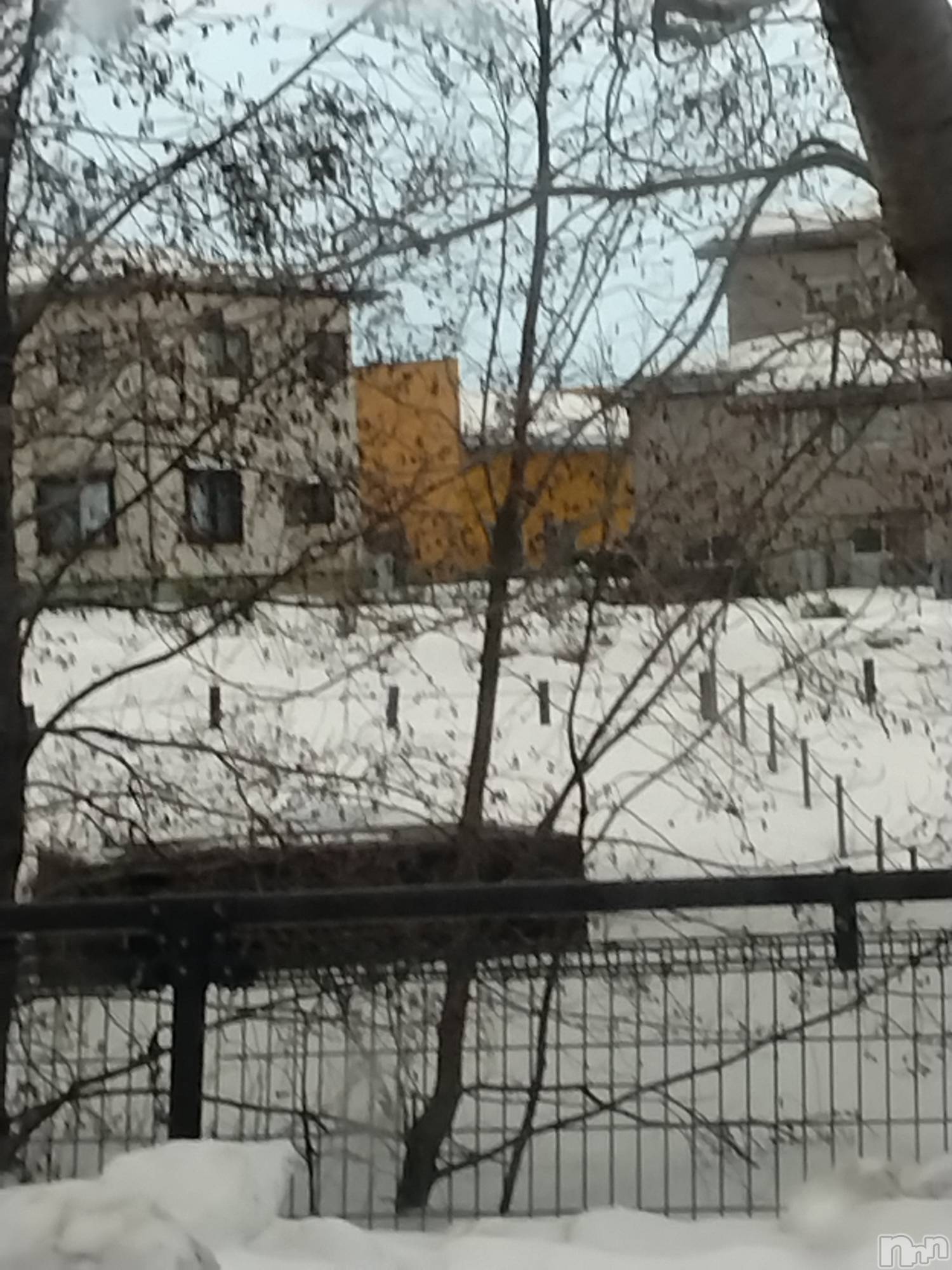 長岡デリヘル人妻楼　長岡店(ヒトヅマロウ　ナガオカテン)なな(43)の2026年1月9日写メブログ「近所の池だけど」