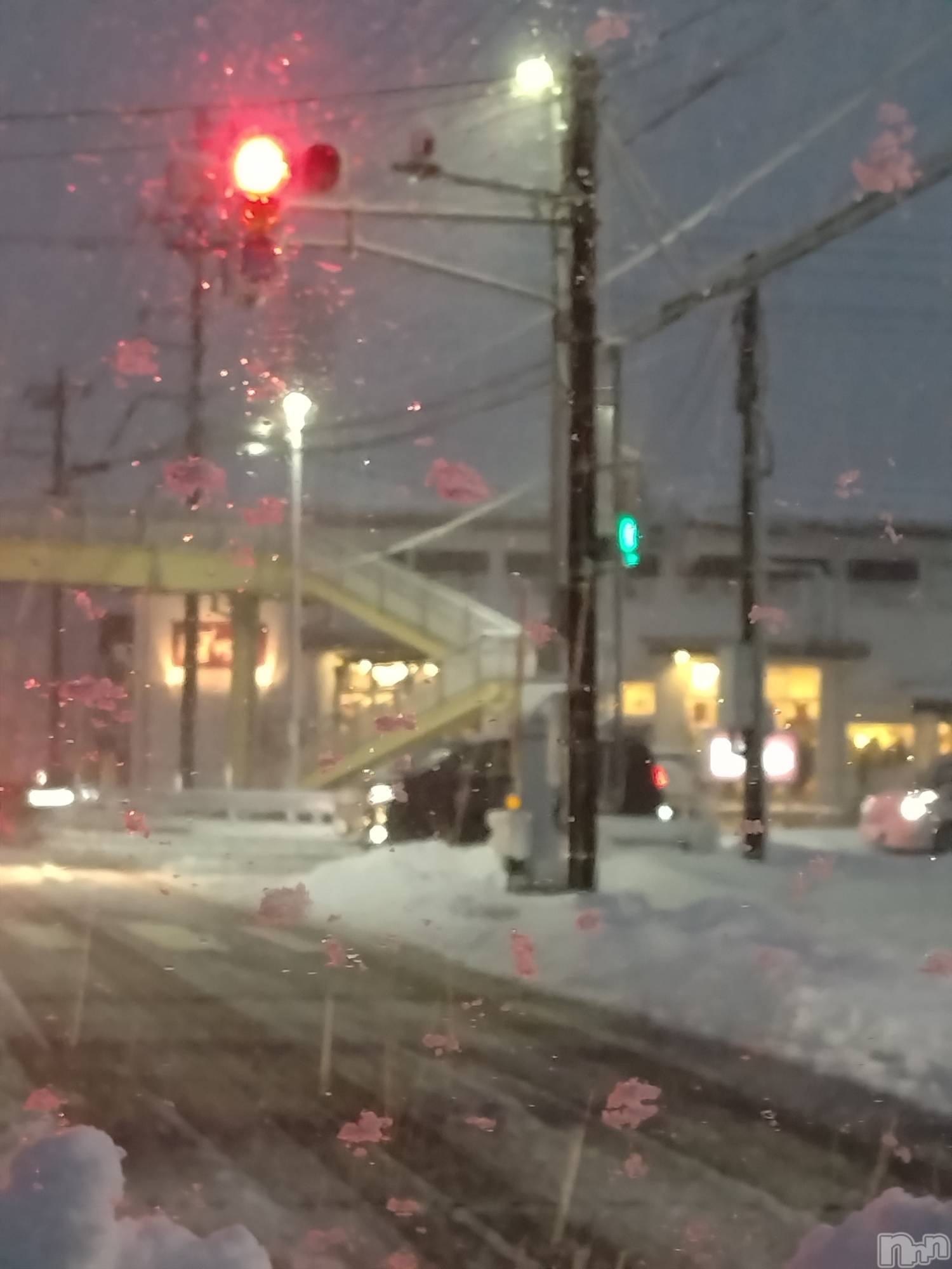 長岡デリヘル人妻楼　長岡店(ヒトヅマロウ　ナガオカテン)なな(43)の2026年1月11日写メブログ「⛄️猛吹雪」