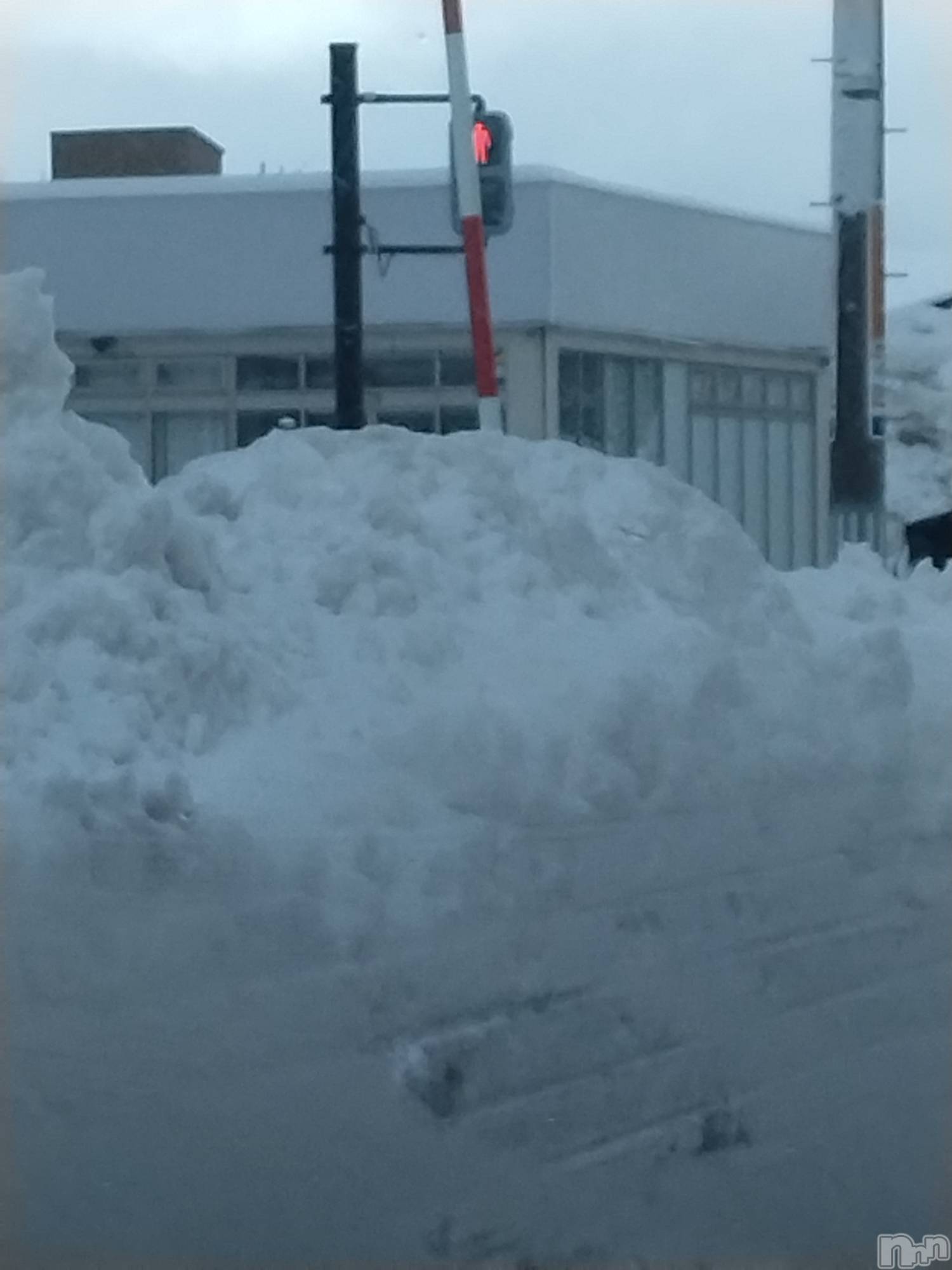 長岡デリヘル人妻楼　長岡店(ヒトヅマロウ　ナガオカテン)なな(43)の2026年1月25日写メブログ「信号機の所か🚥」