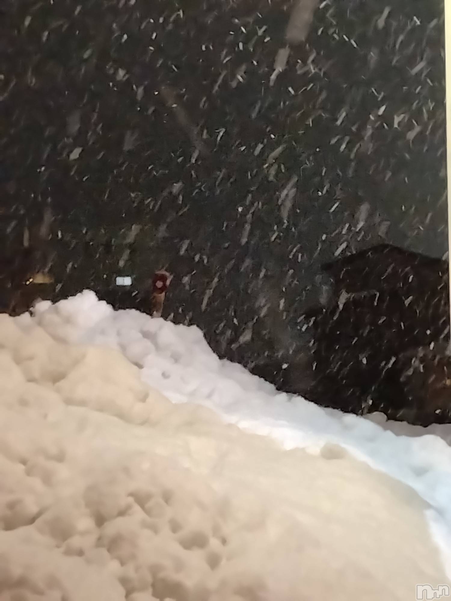 長岡デリヘル人妻楼　長岡店(ヒトヅマロウ　ナガオカテン)なな(43)の2026年1月29日写メブログ「雪の新潟では」