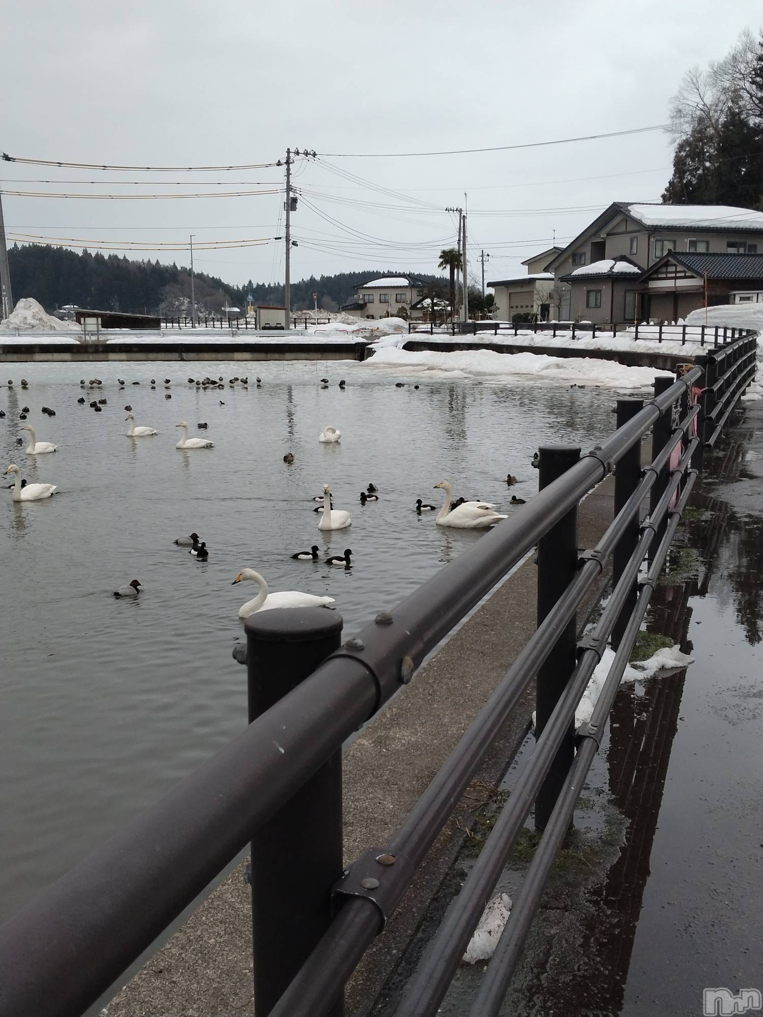 長岡デリヘル人妻楼　長岡店(ヒトヅマロウ　ナガオカテン)なな(43)の2026年2月16日写メブログ「西山町」