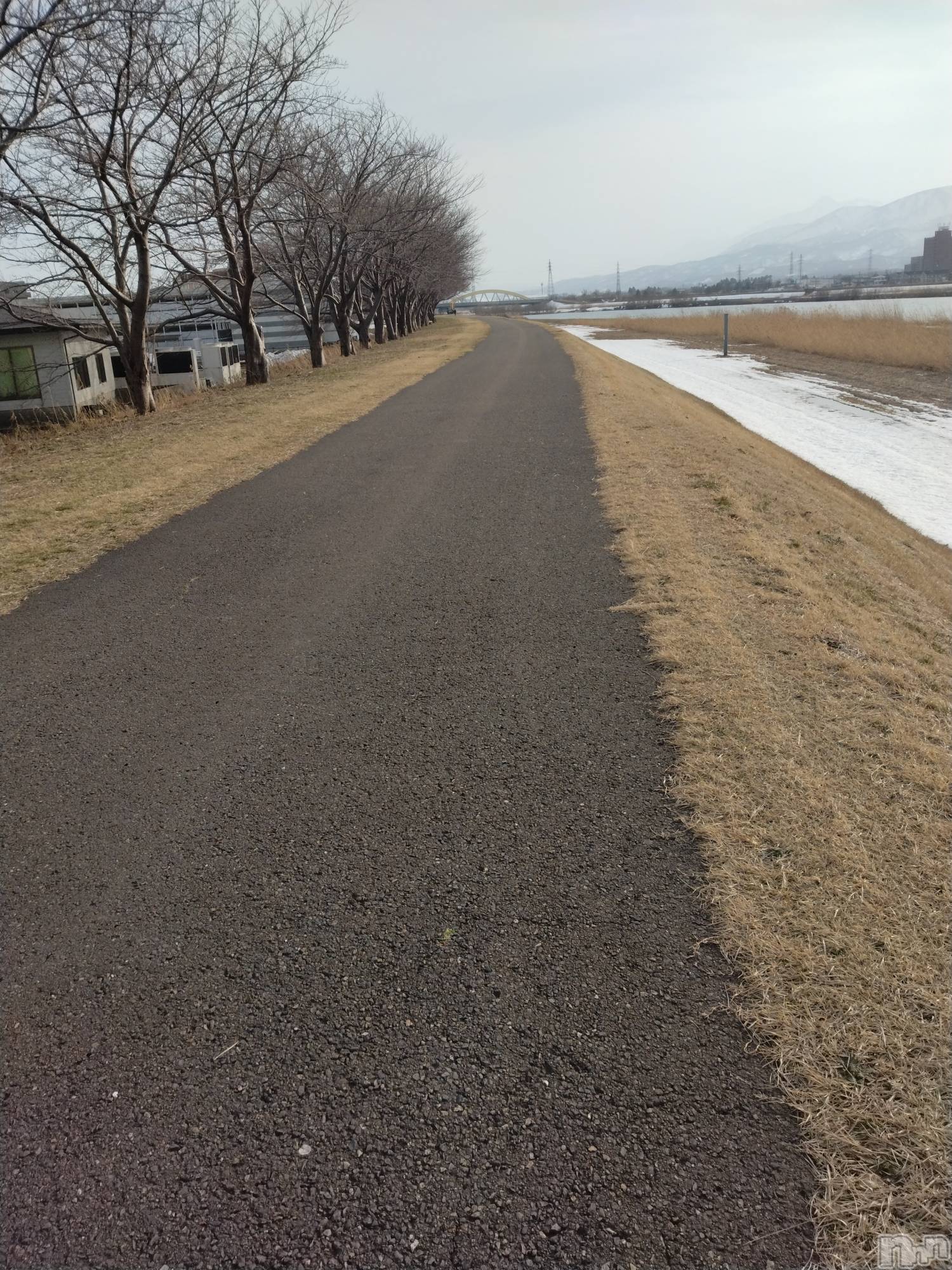 長岡デリヘル人妻楼　長岡店(ヒトヅマロウ　ナガオカテン)なな(43)の2026年2月24日写メブログ「この河川敷が」